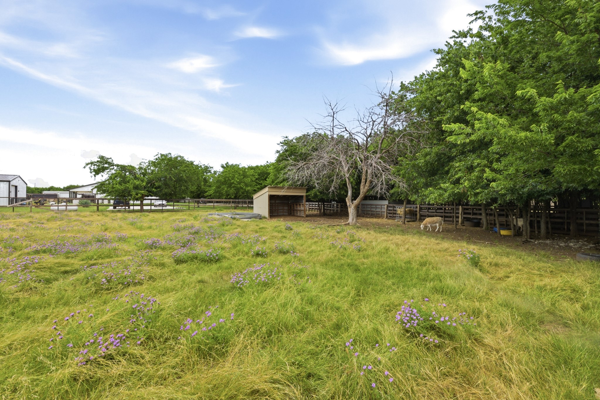 6270 High Mesa Drive Justin TX 76247