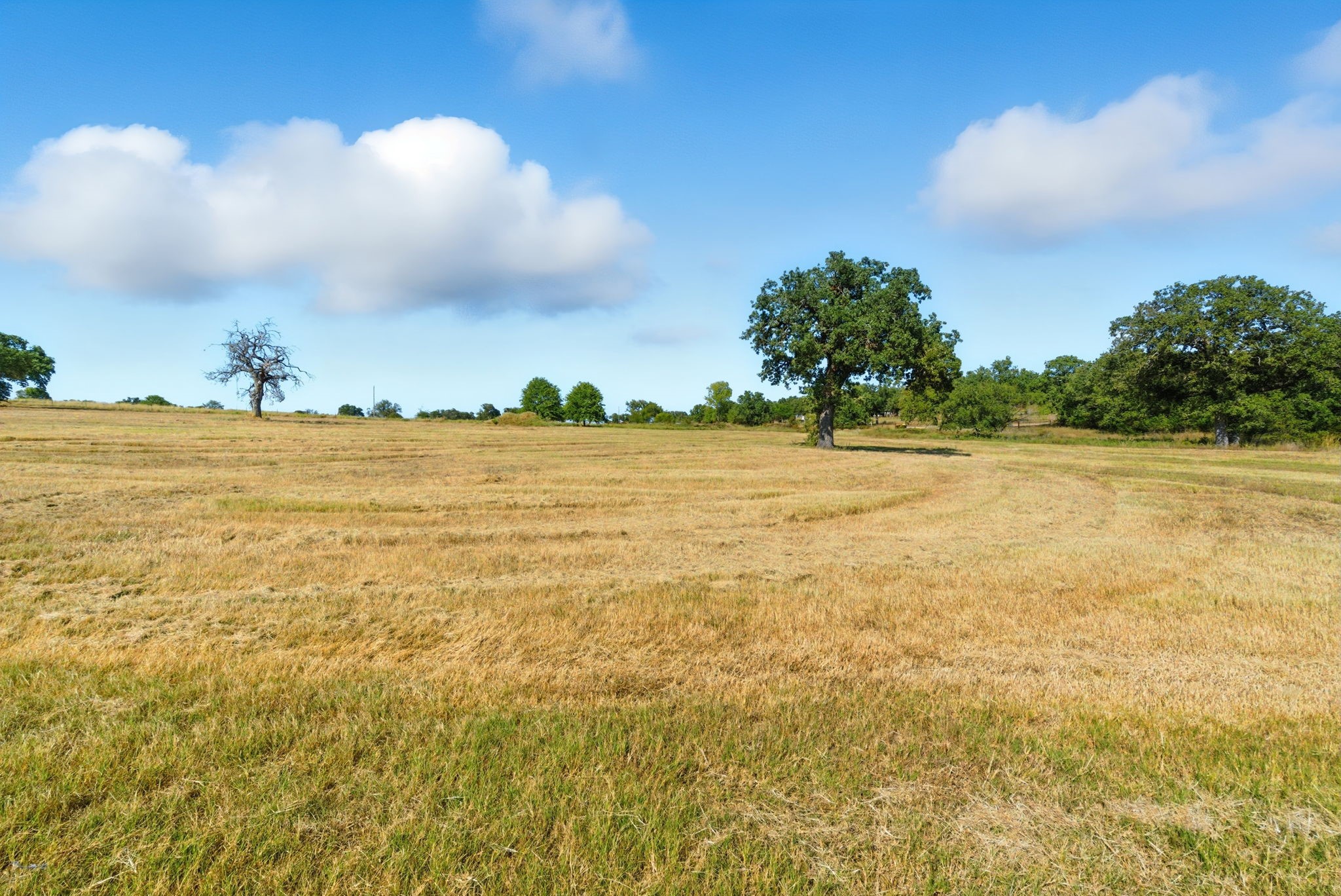 1734 Davis Road Lipan TX 76462