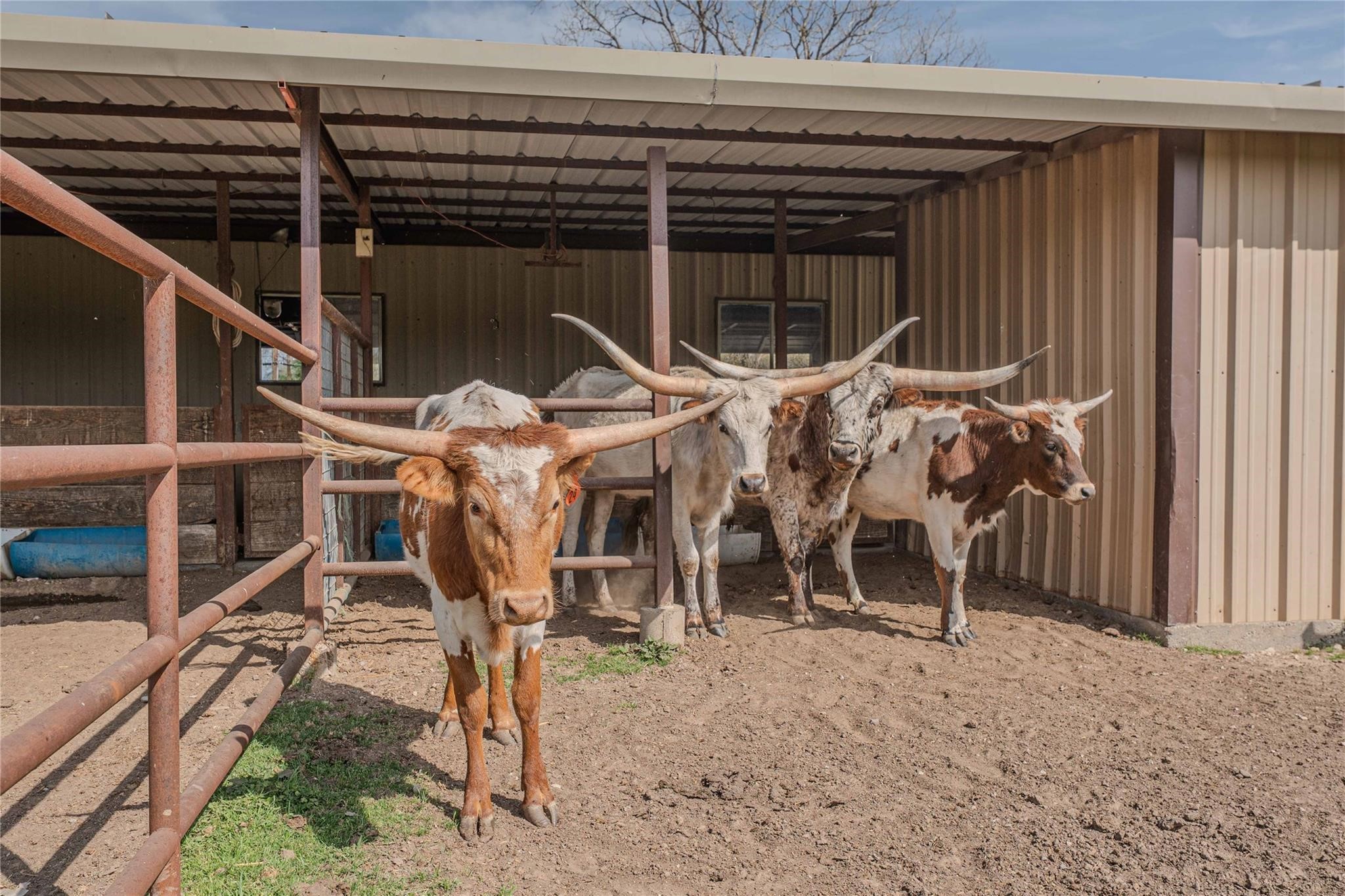 900 Silver Creek Azle Road Azle TX 76020