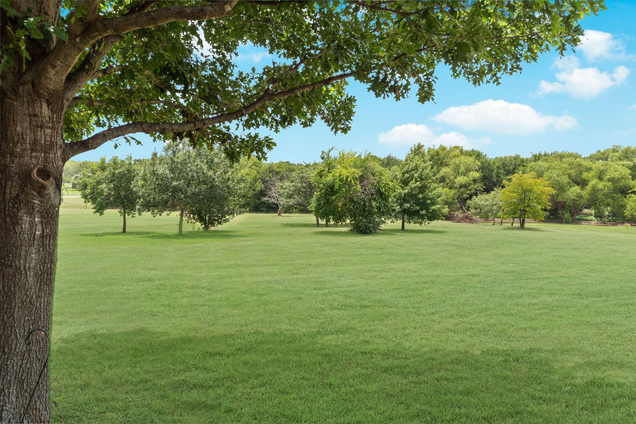 111 Whispering Winds Drive Gunter TX 75058