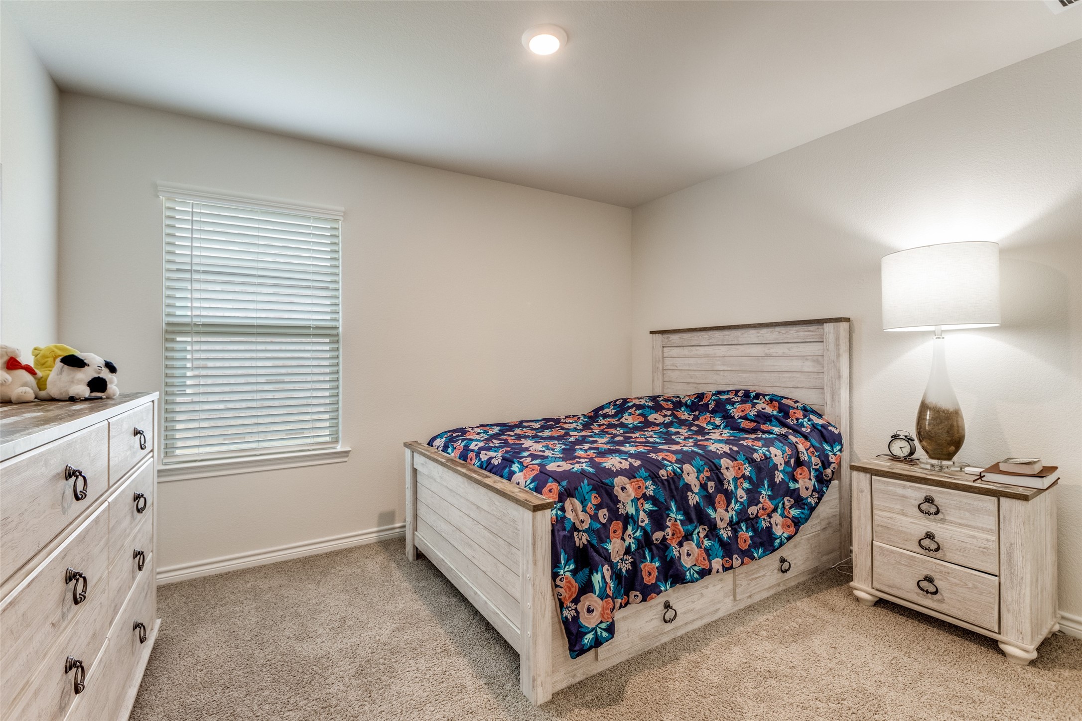 9809 Gooseneck Drive Aubrey TX 76227