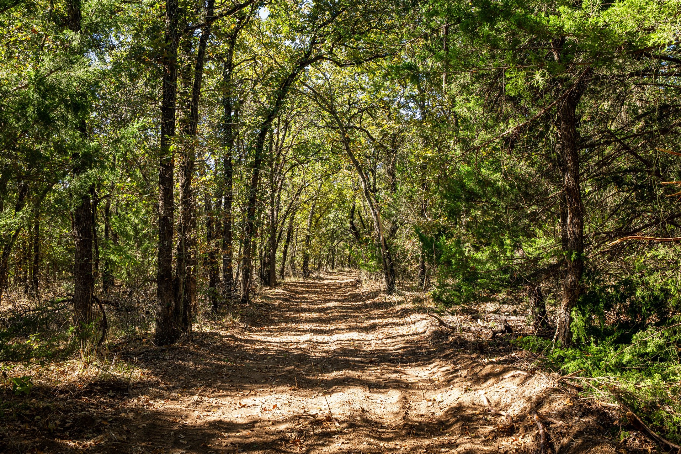104 Private Road 216 Whitney TX 76692