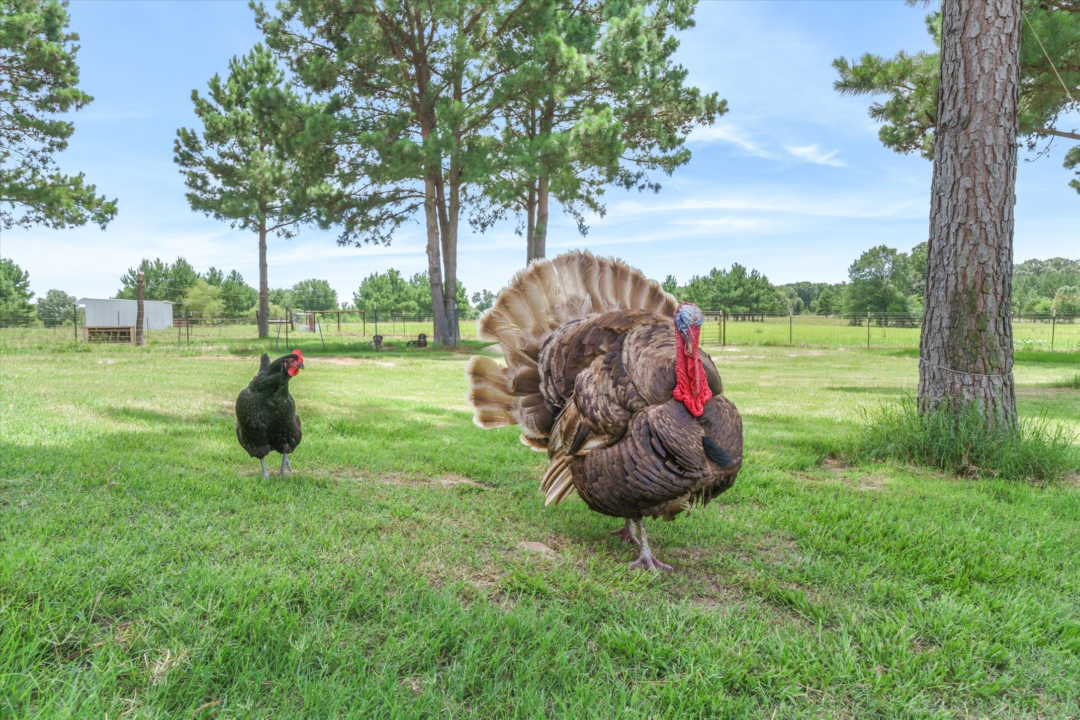 132 Private Road 7105 Edgewood TX 75117