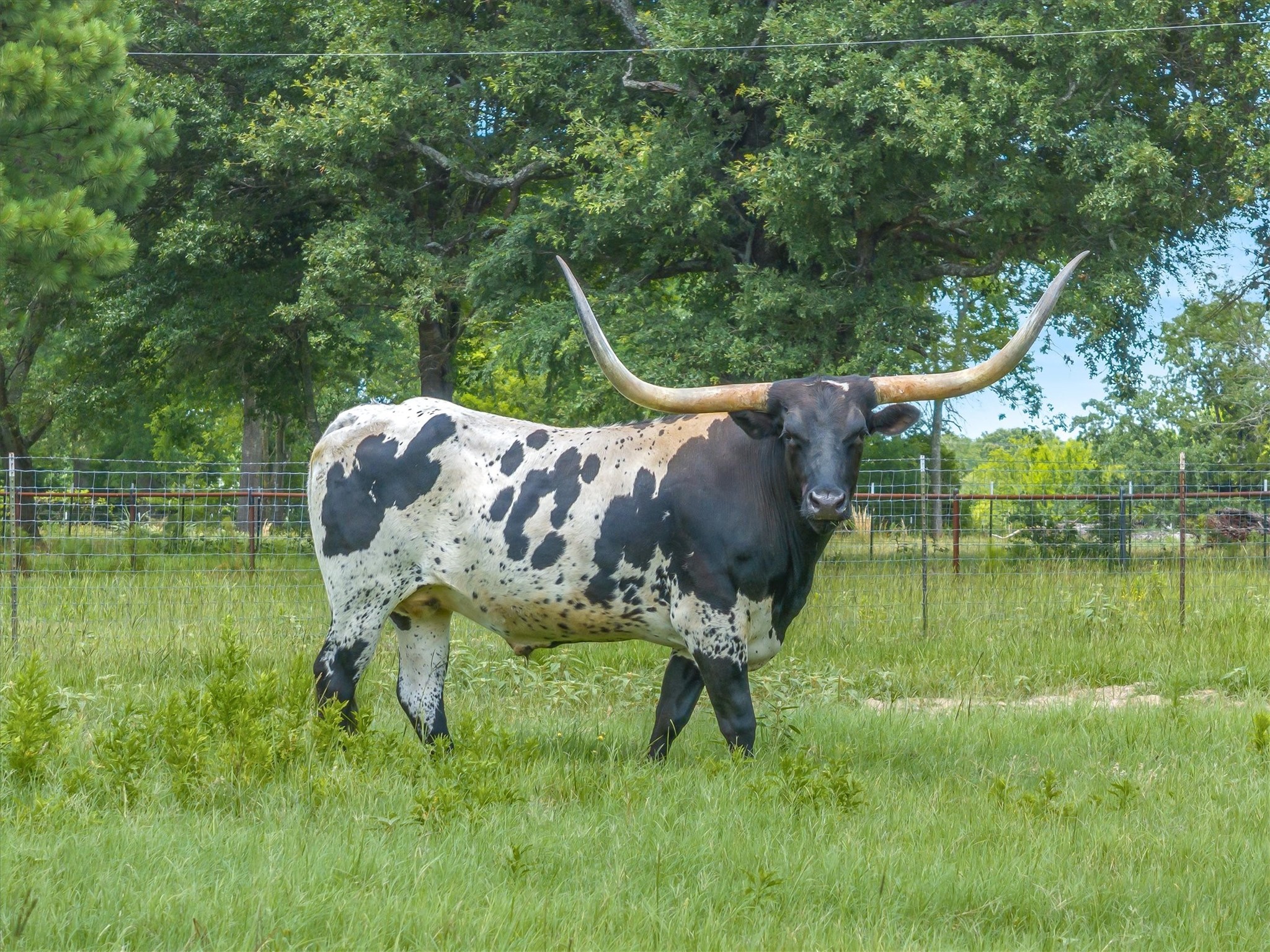 132 Private Road 7105 Edgewood TX 75117