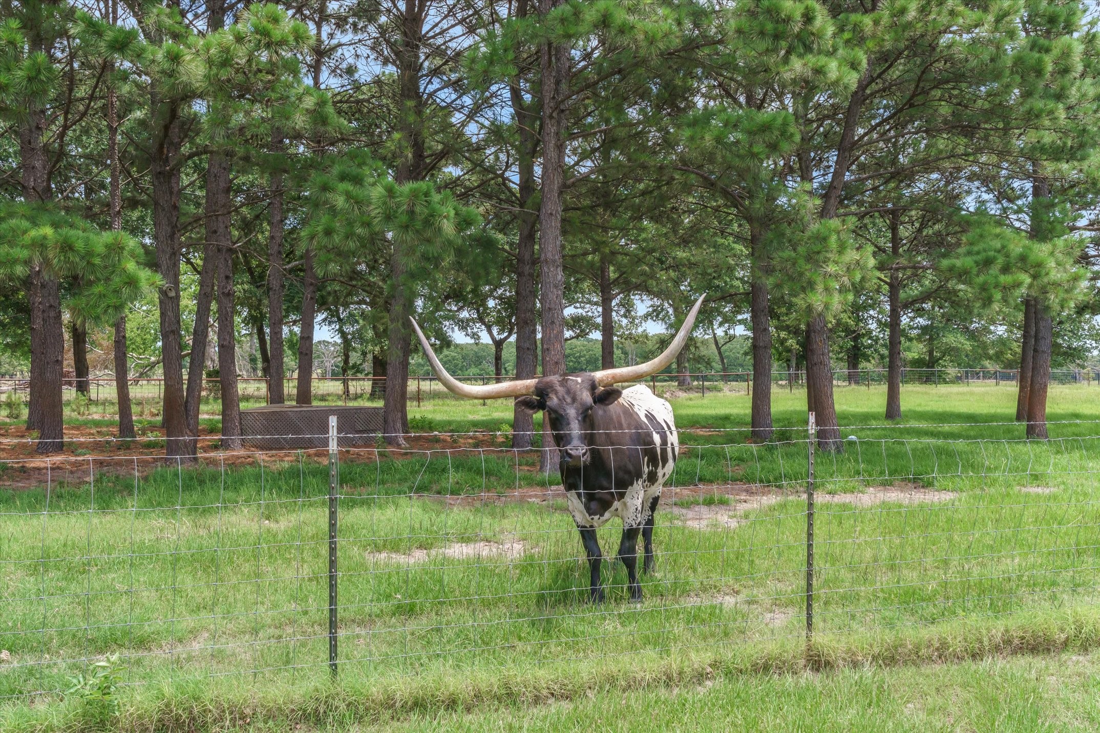 132 Private Road 7105 Edgewood TX 75117