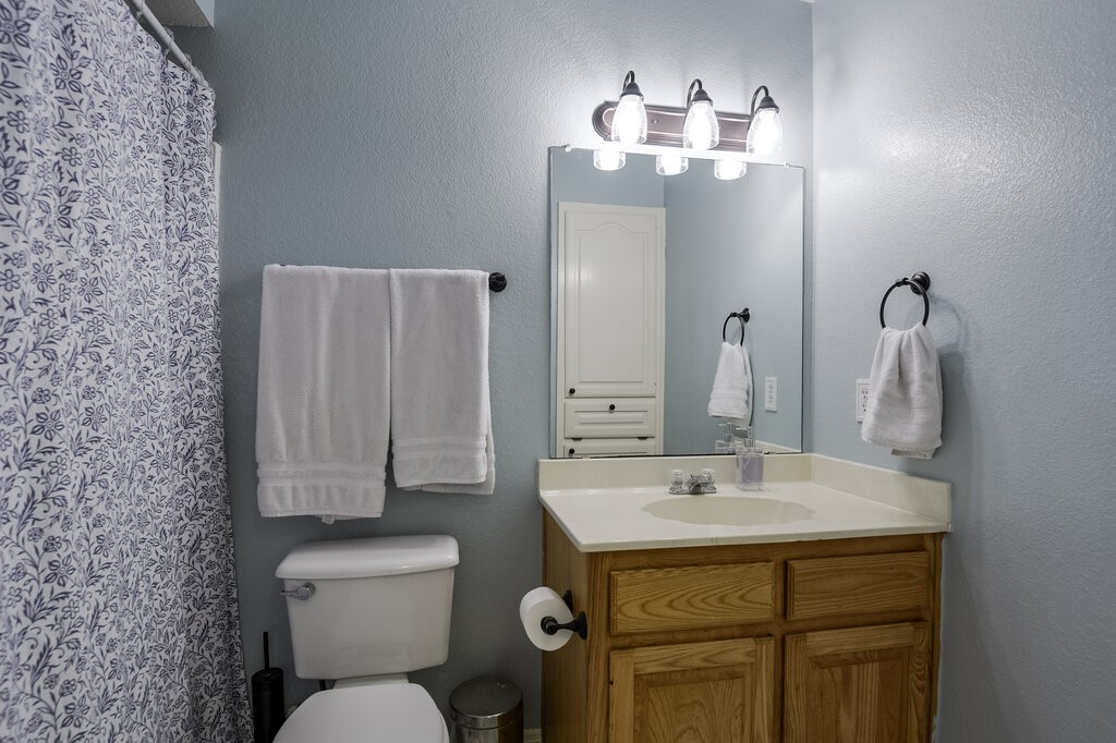339 Meadow Lane Red Oak TX 75154