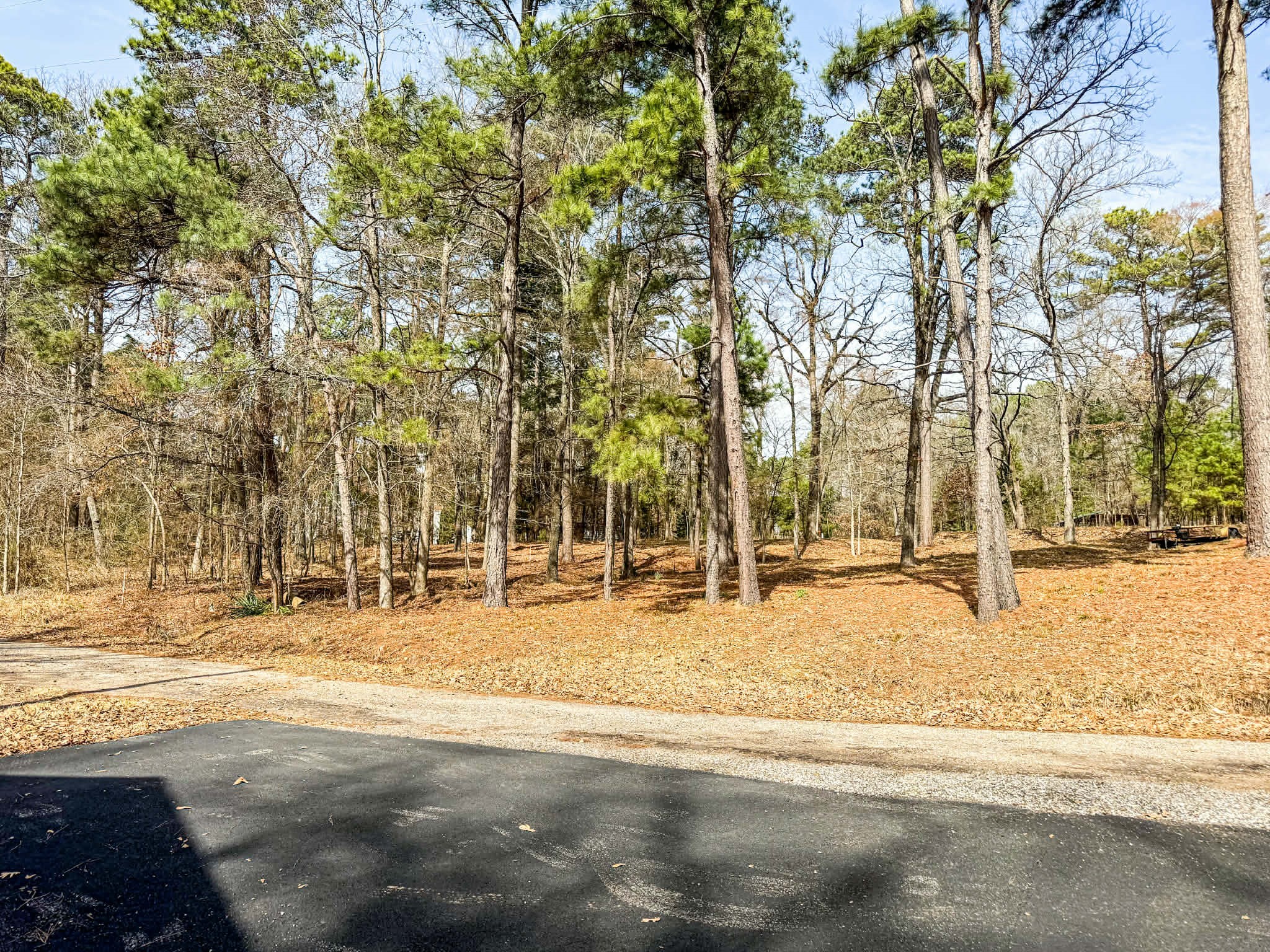 670 Redbud Drive Avinger TX 75630