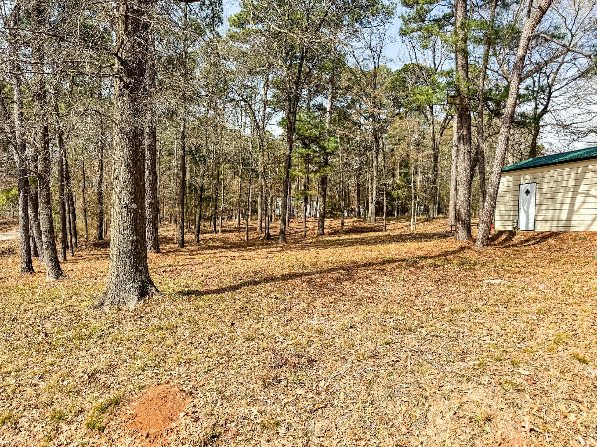 670 Redbud Drive Avinger TX 75630