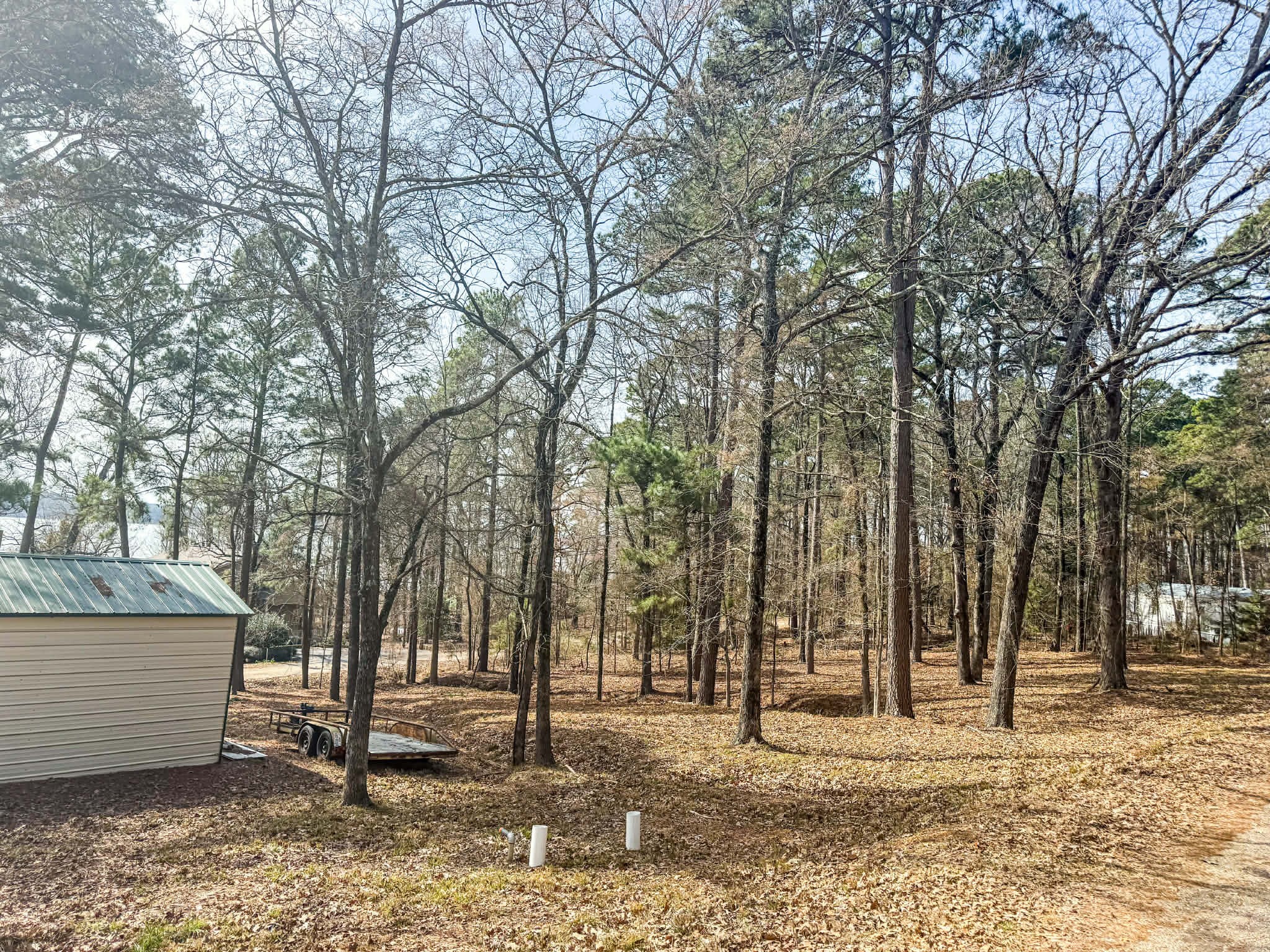 670 Redbud Drive Avinger TX 75630