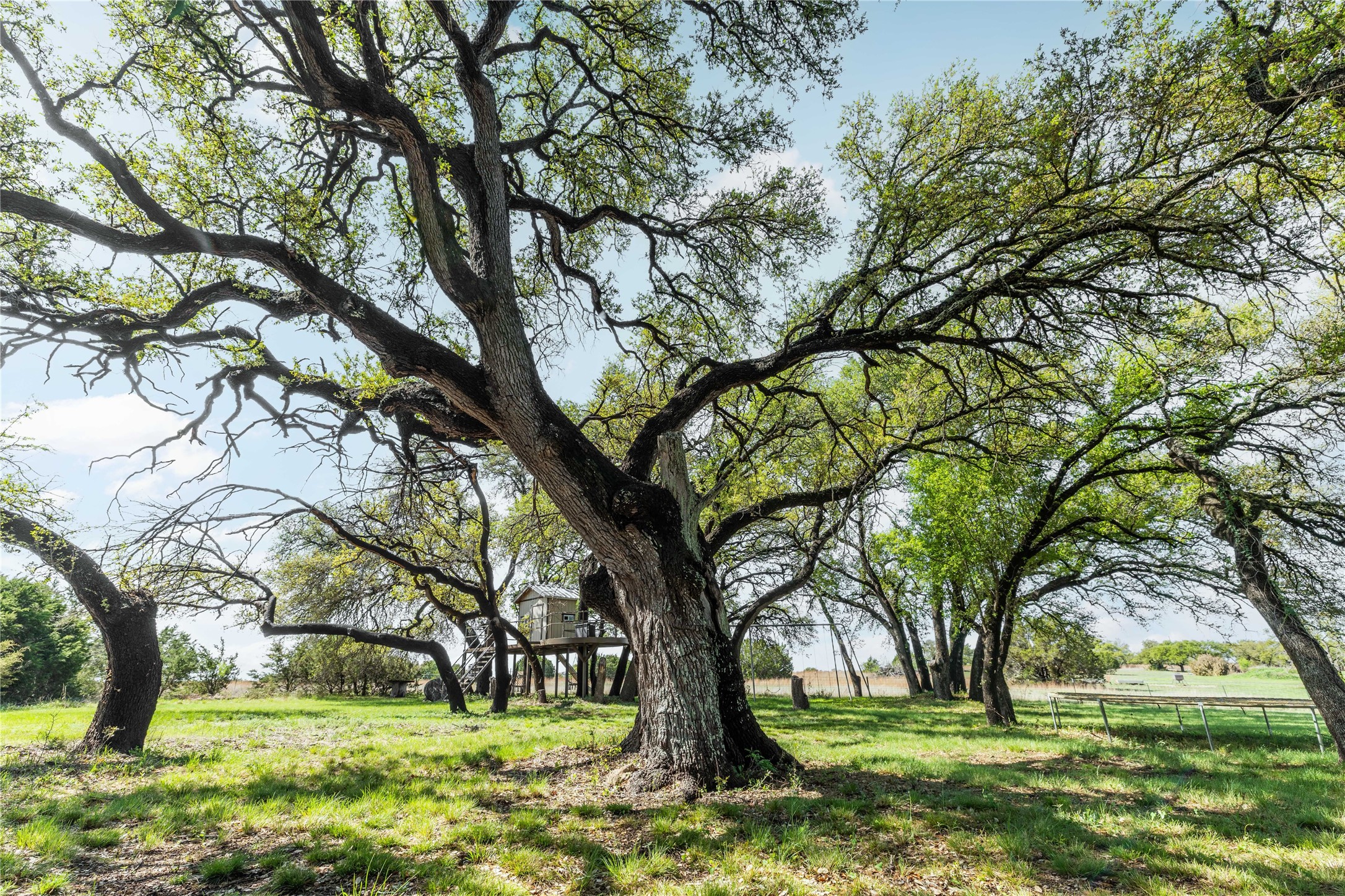 54 County Road 407 Goldthwaite TX 76844