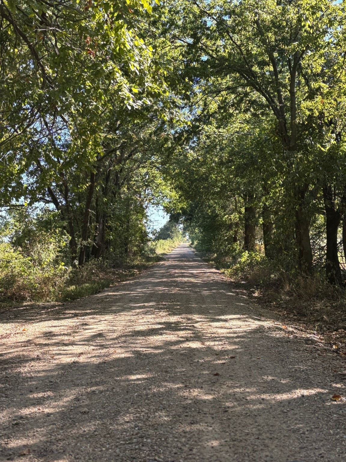 7067 N State Highway 78 Bonham TX 75418