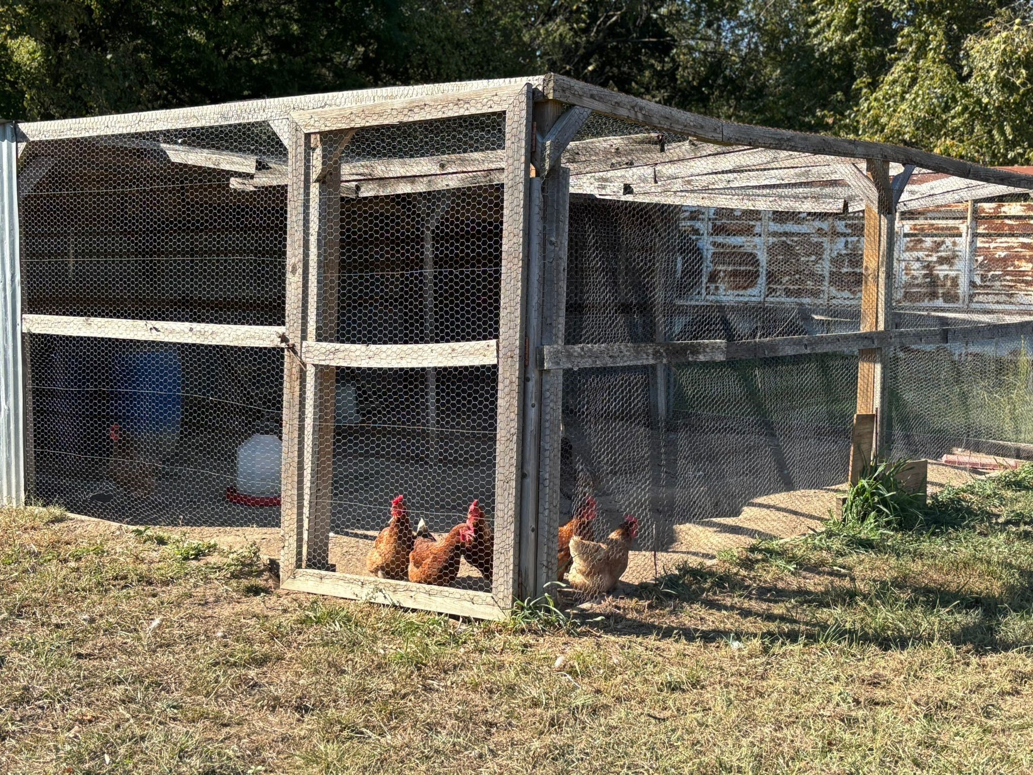 7067 N State Highway 78 Bonham TX 75418