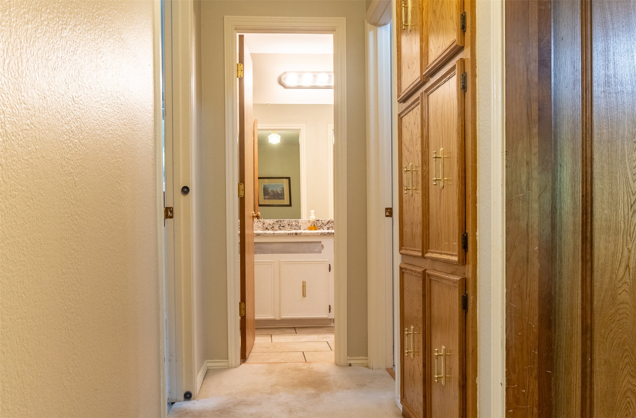 12008 Saddlehorn Lane Mansfield TX 76063