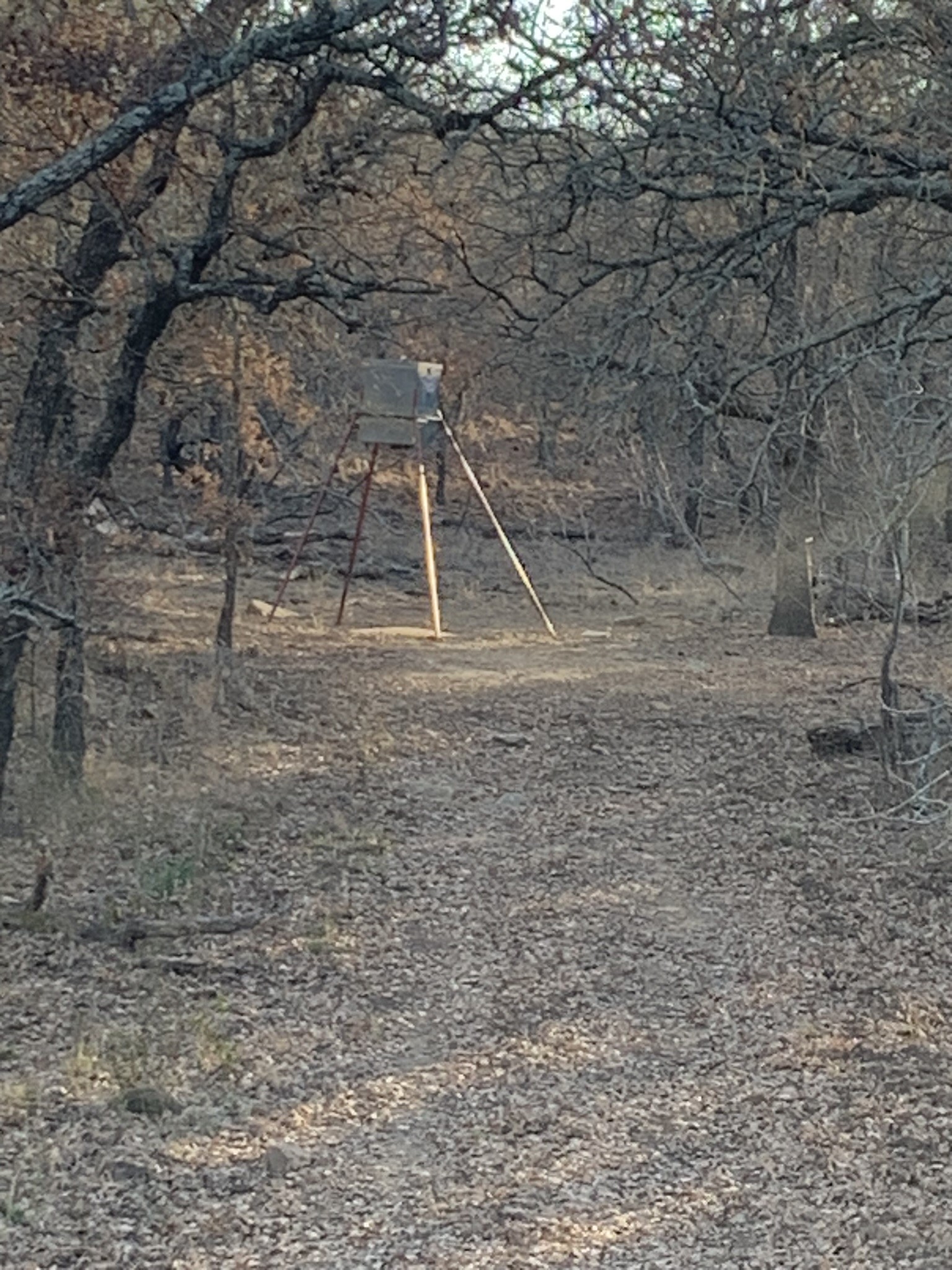 8381 Salt Creek Road Jacksboro TX 76458