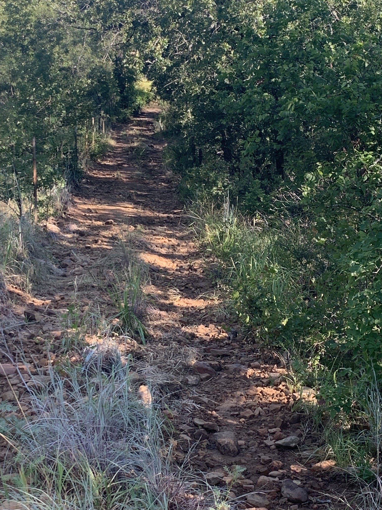 8381 Salt Creek Road Jacksboro TX 76458