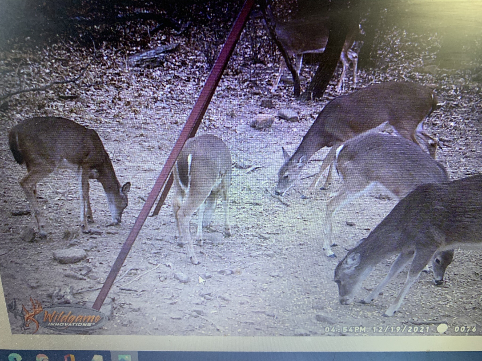 8381 Salt Creek Road Jacksboro TX 76458