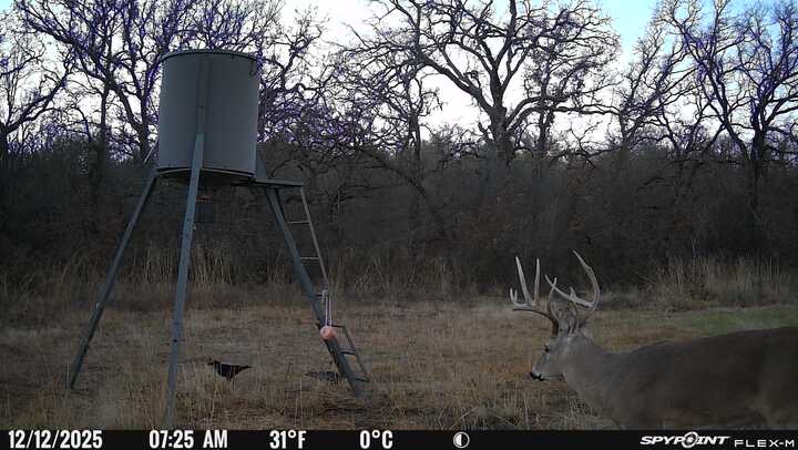 8381 Salt Creek Road Jacksboro TX 76458