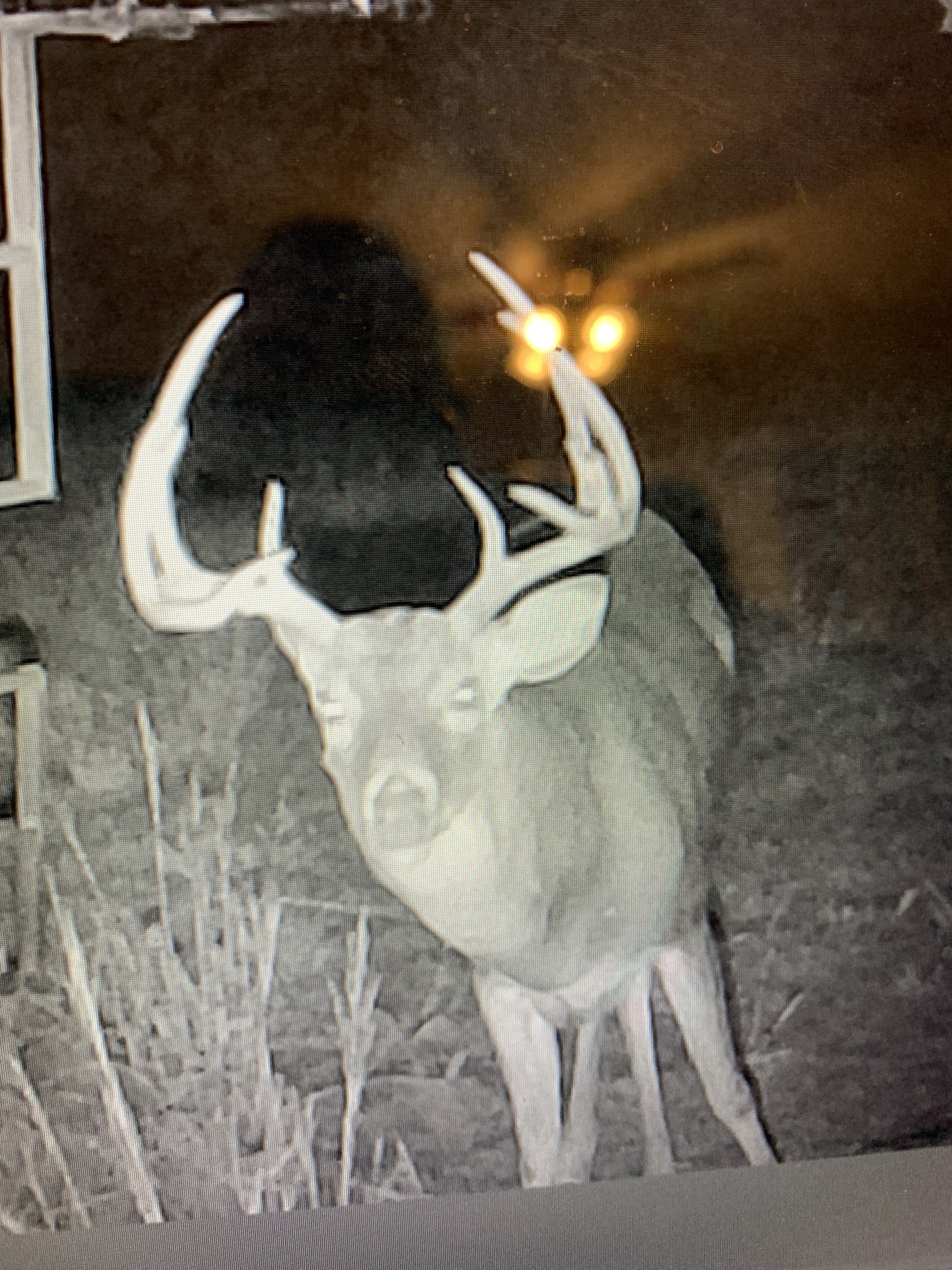 8381 Salt Creek Road Jacksboro TX 76458