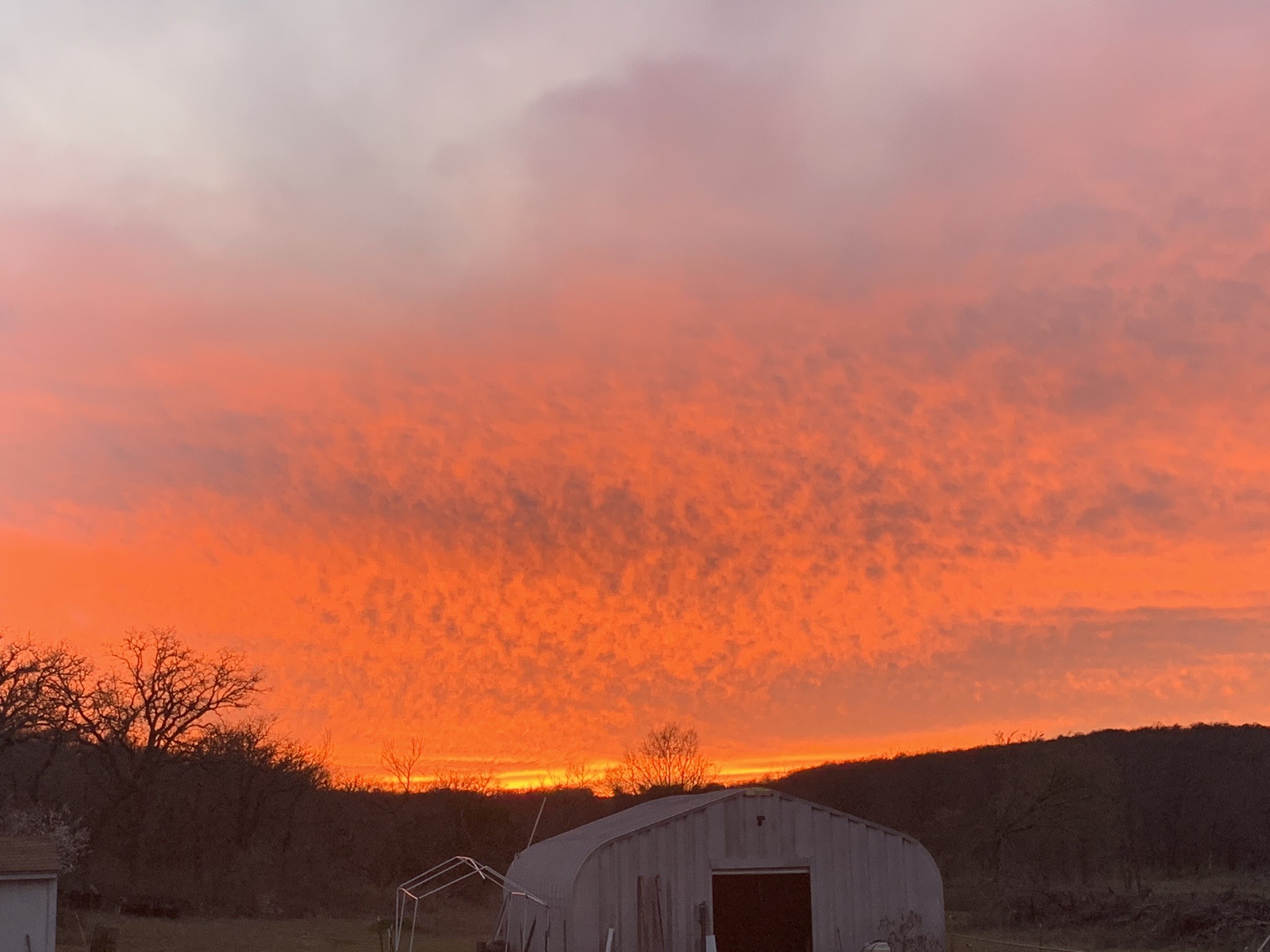 8381 Salt Creek Road Jacksboro TX 76458