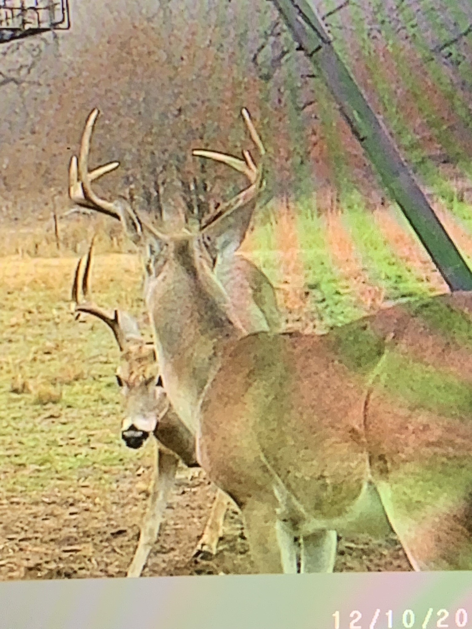 8381 Salt Creek Road Jacksboro TX 76458