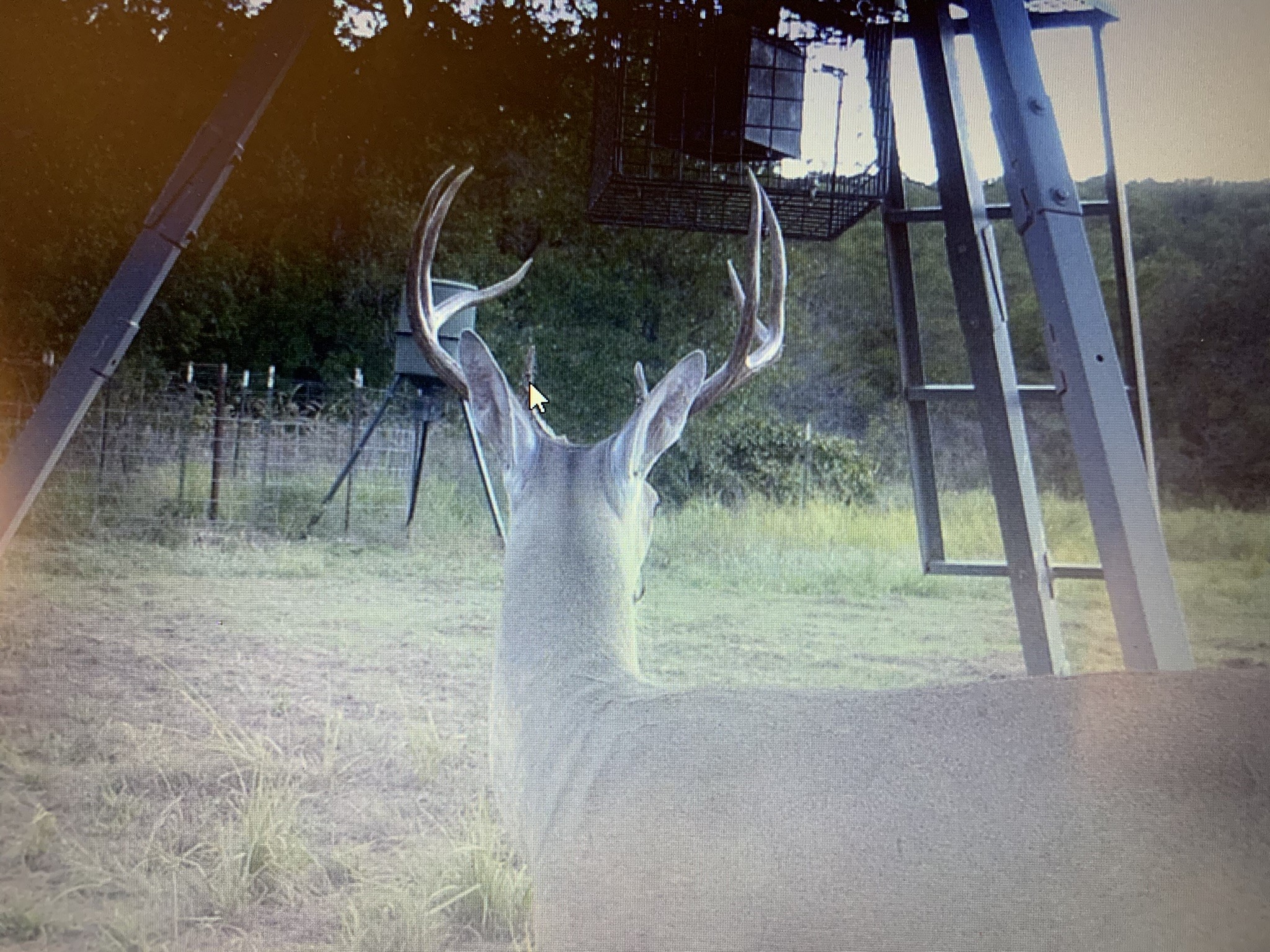8381 Salt Creek Road Jacksboro TX 76458