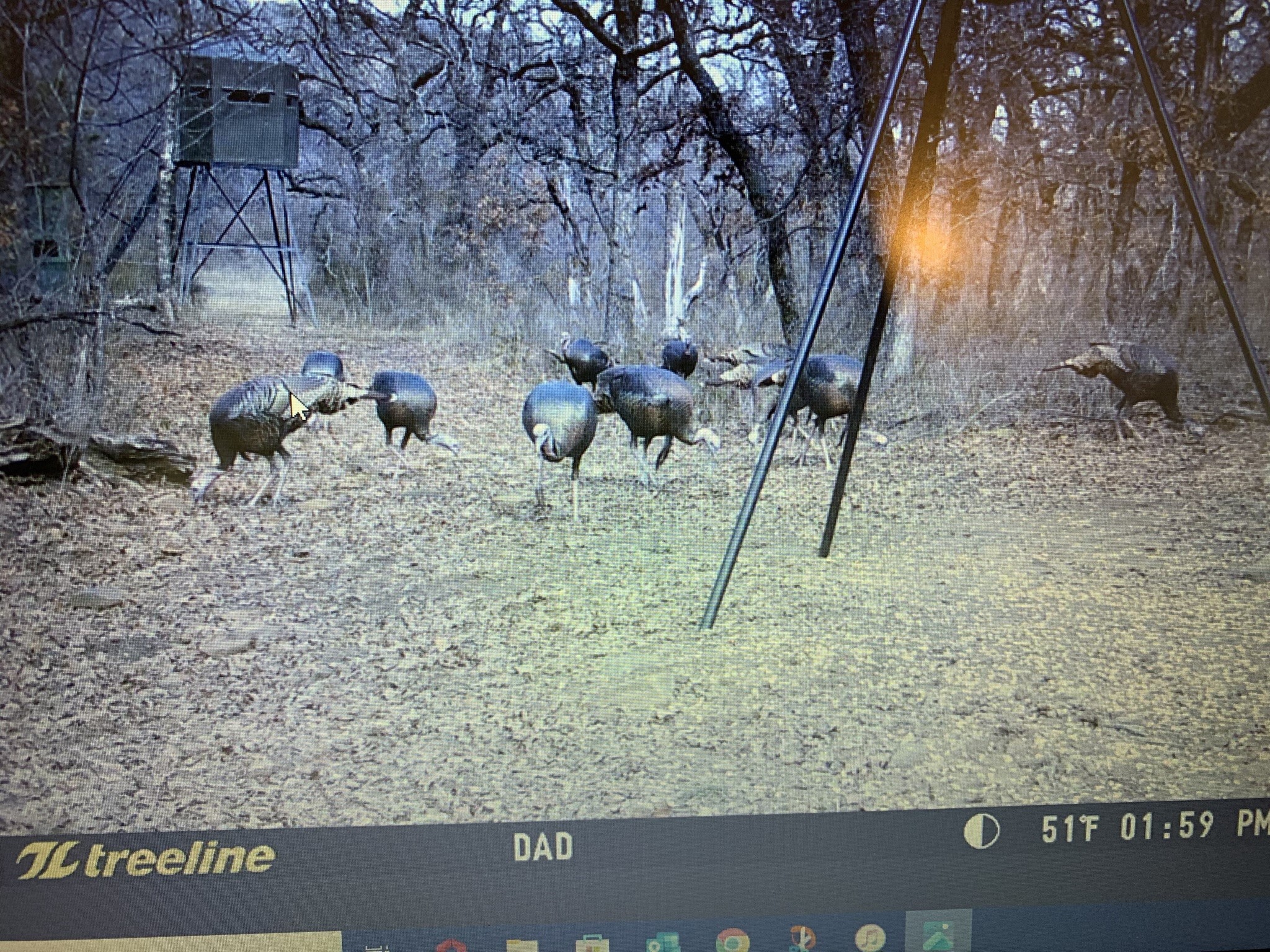 8381 Salt Creek Road Jacksboro TX 76458
