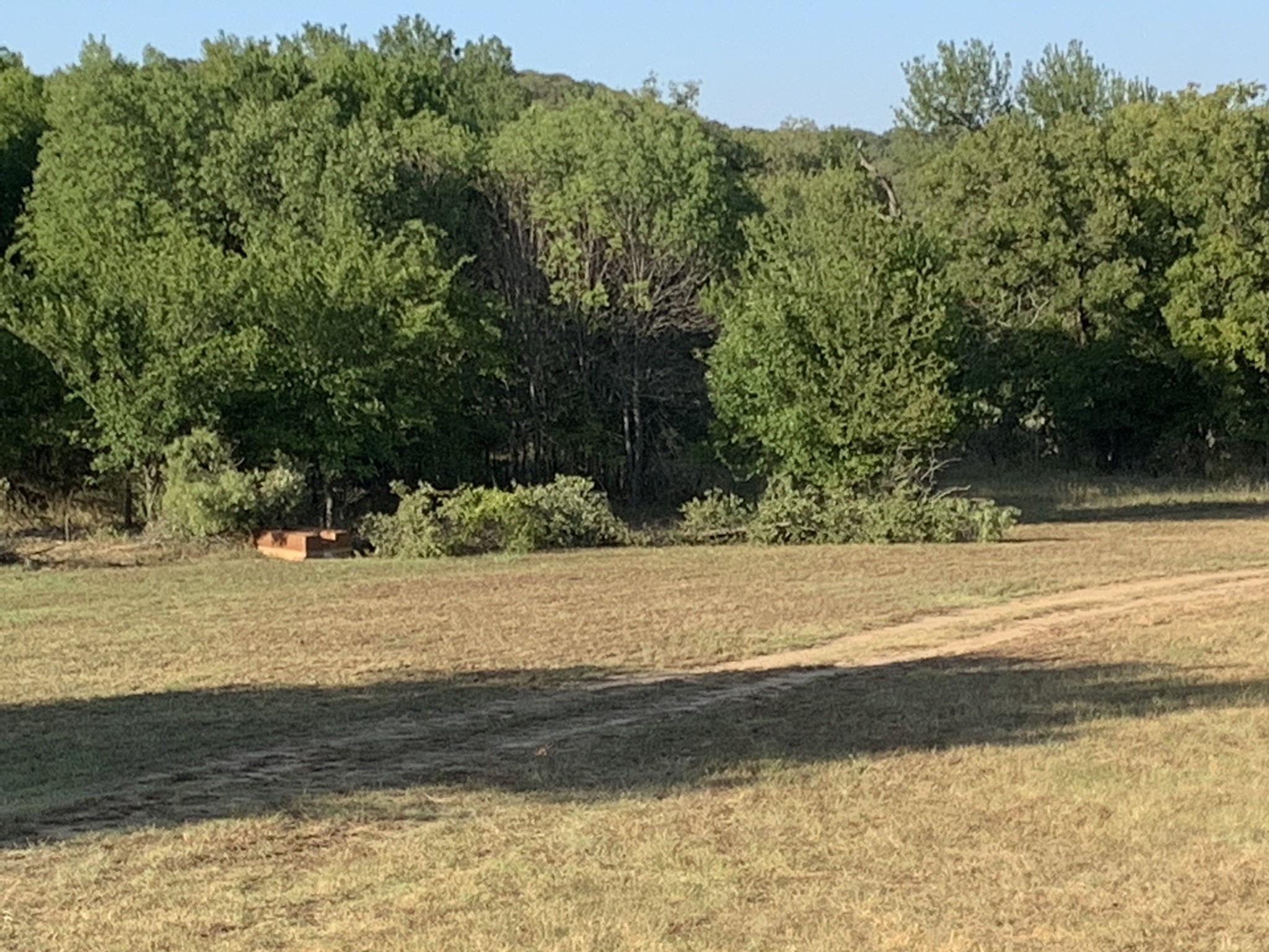 8381 Salt Creek Road Jacksboro TX 76458