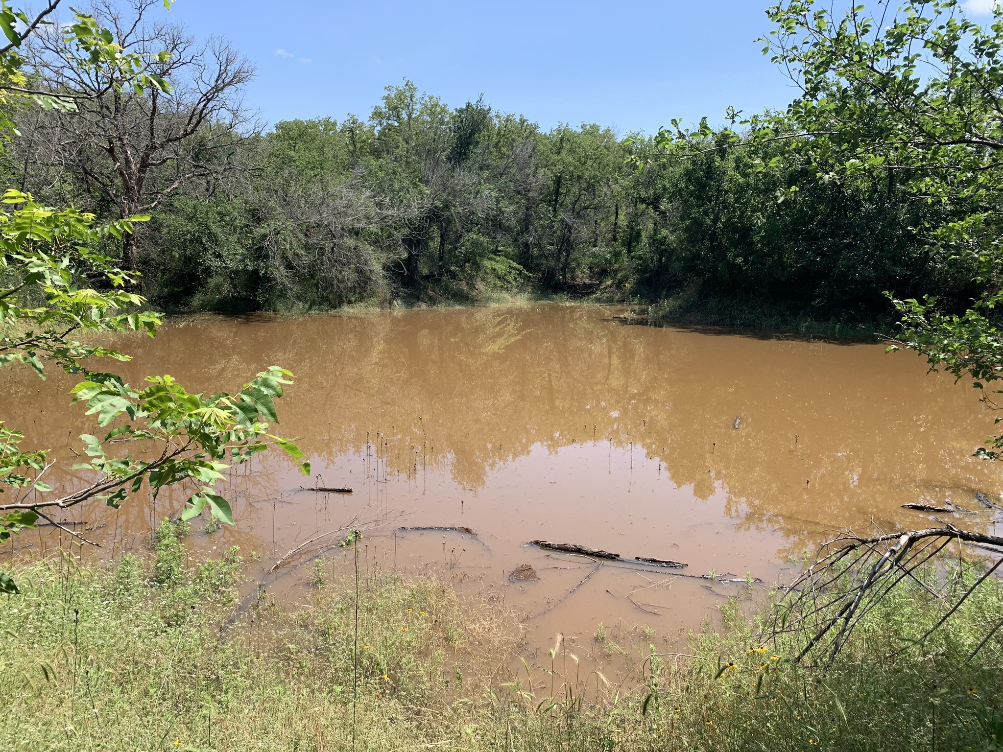 8381 Salt Creek Road Jacksboro TX 76458