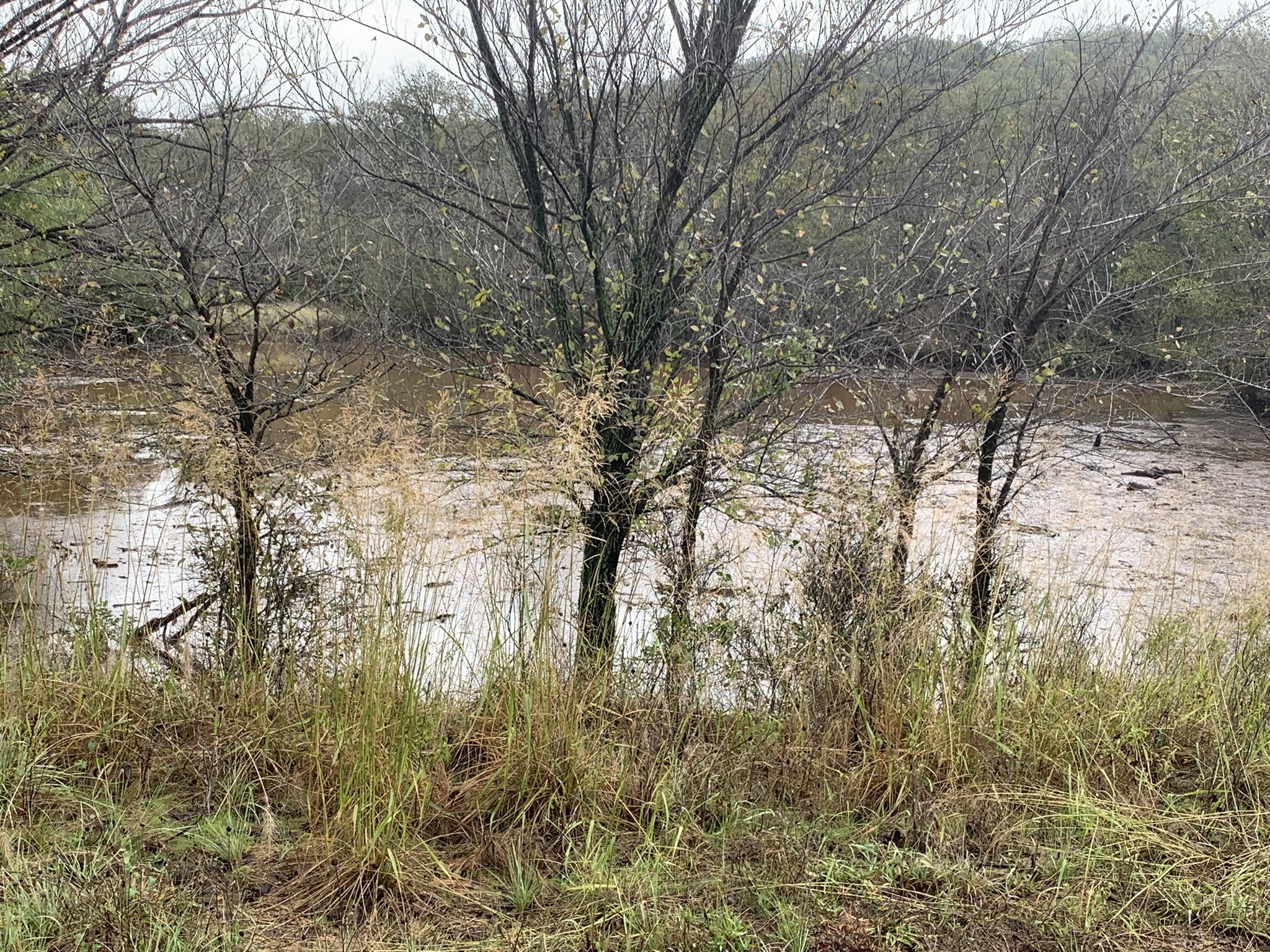 8381 Salt Creek Road Jacksboro TX 76458