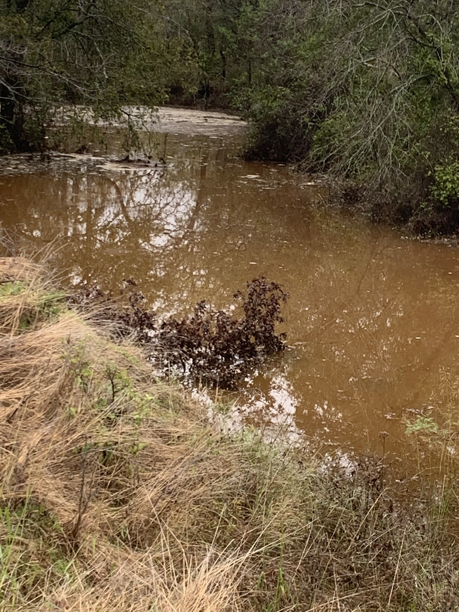 8381 Salt Creek Road Jacksboro TX 76458