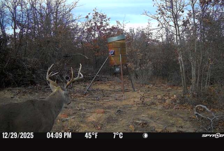 8381 Salt Creek Road Jacksboro TX 76458