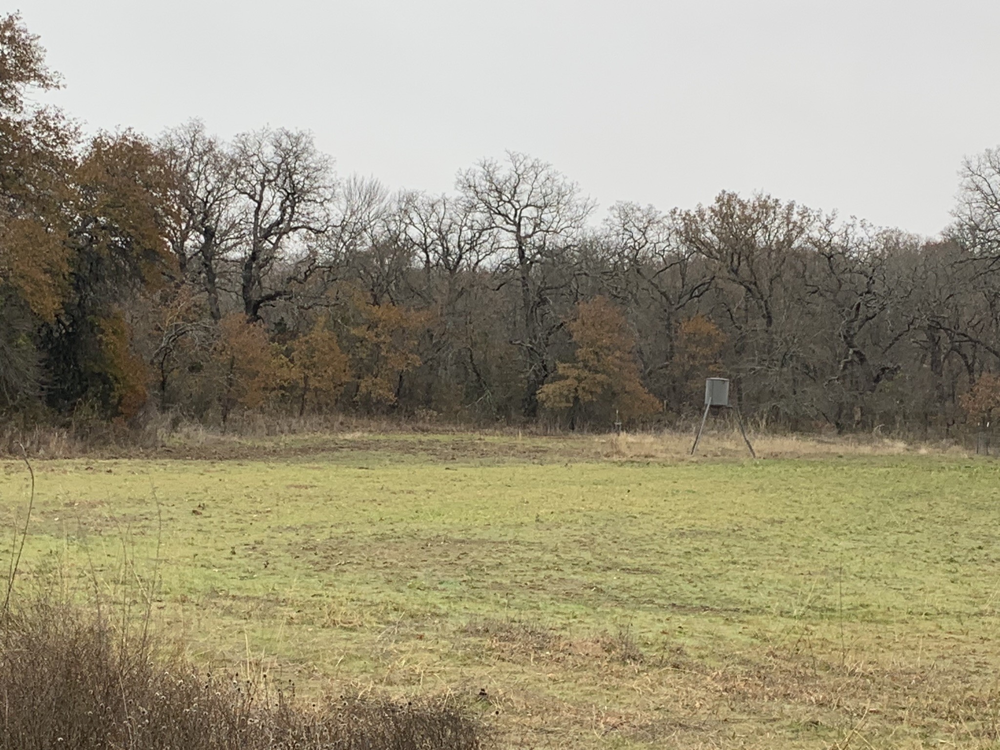 8381 Salt Creek Road Jacksboro TX 76458