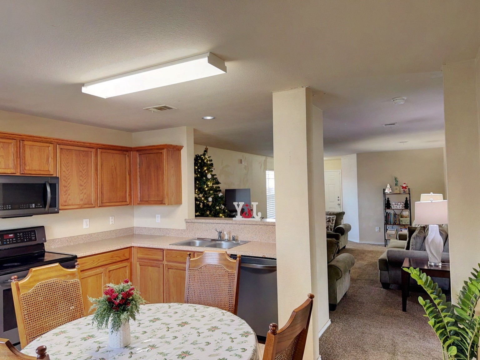 1635 Red Cloud Drive Dallas TX 75217