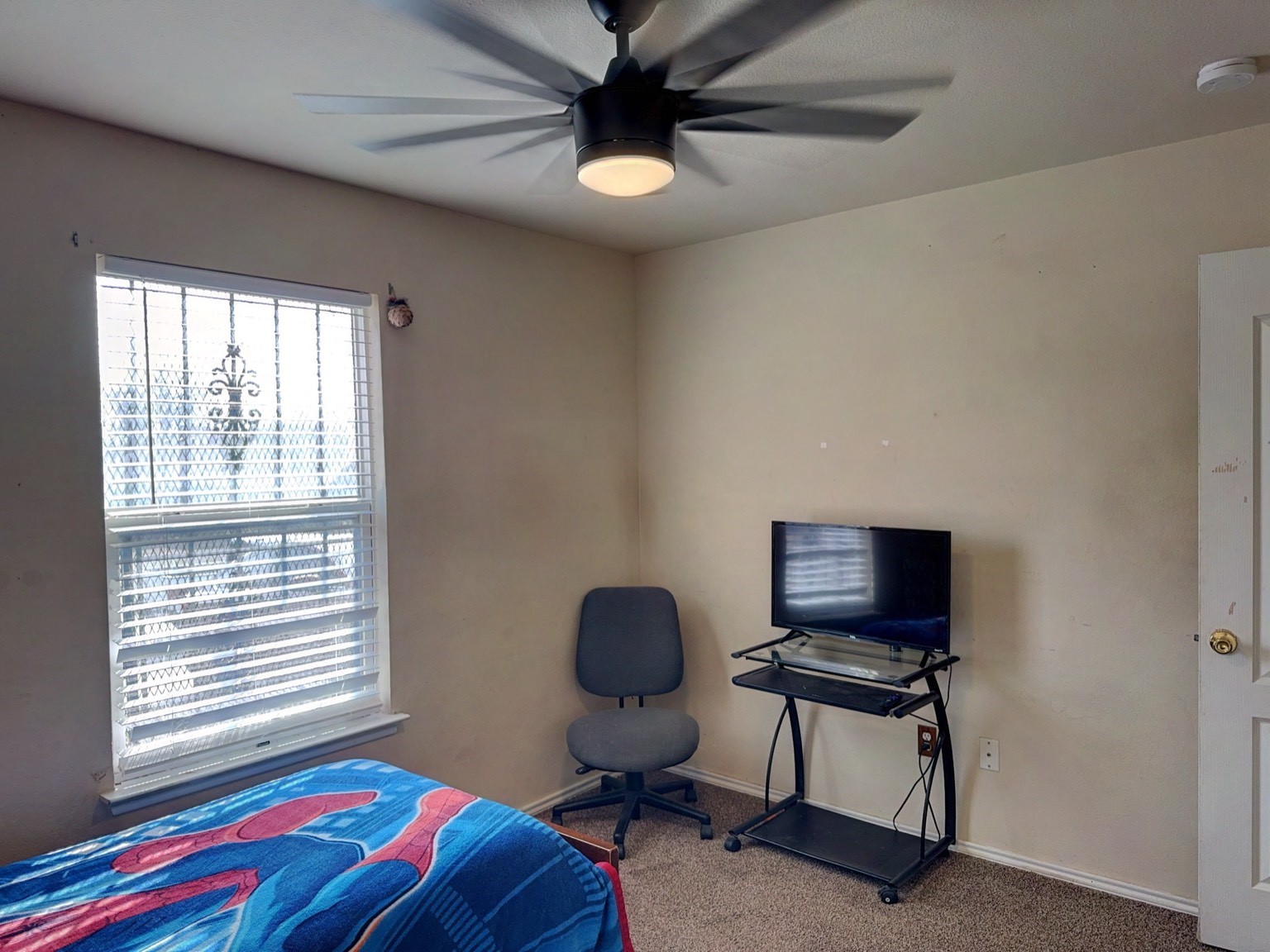 1635 Red Cloud Drive Dallas TX 75217