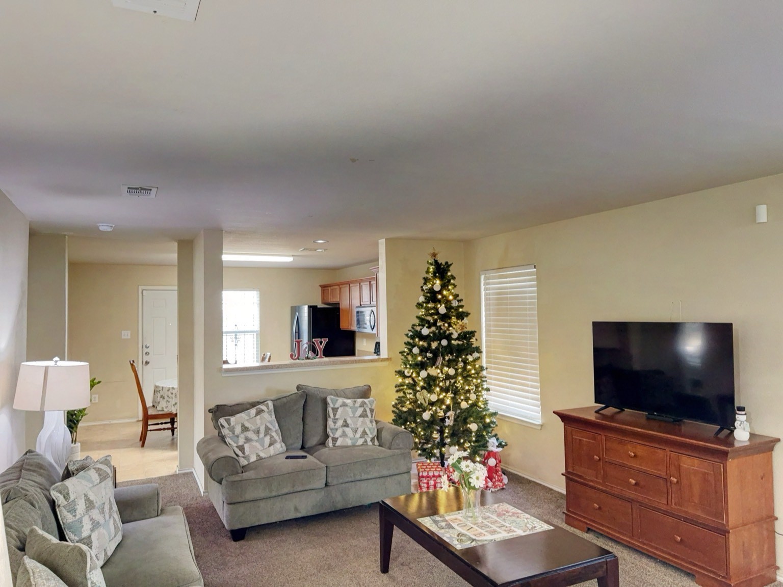 1635 Red Cloud Drive Dallas TX 75217