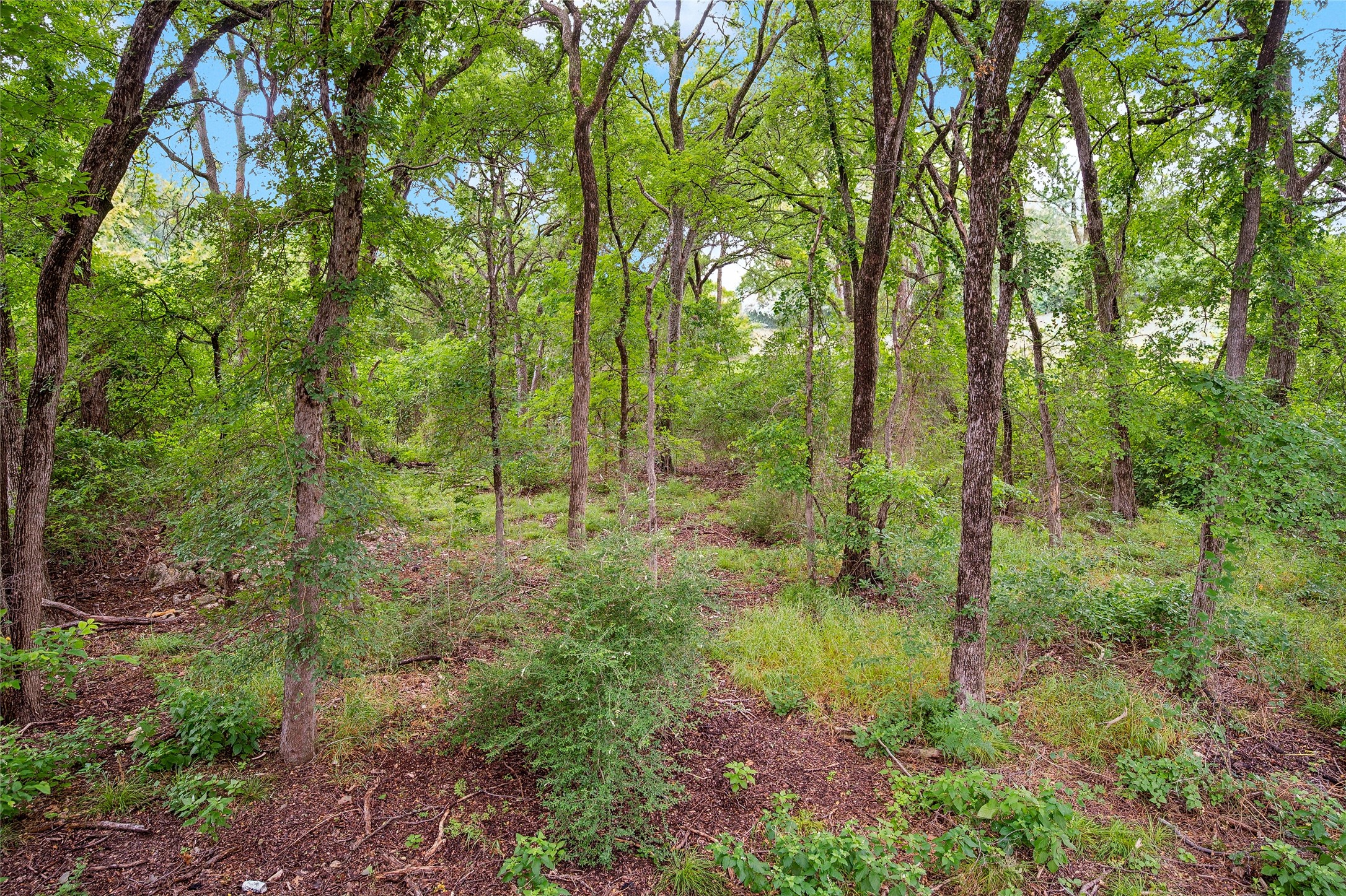 3501 Stone Creek Court Fort Worth TX 76137