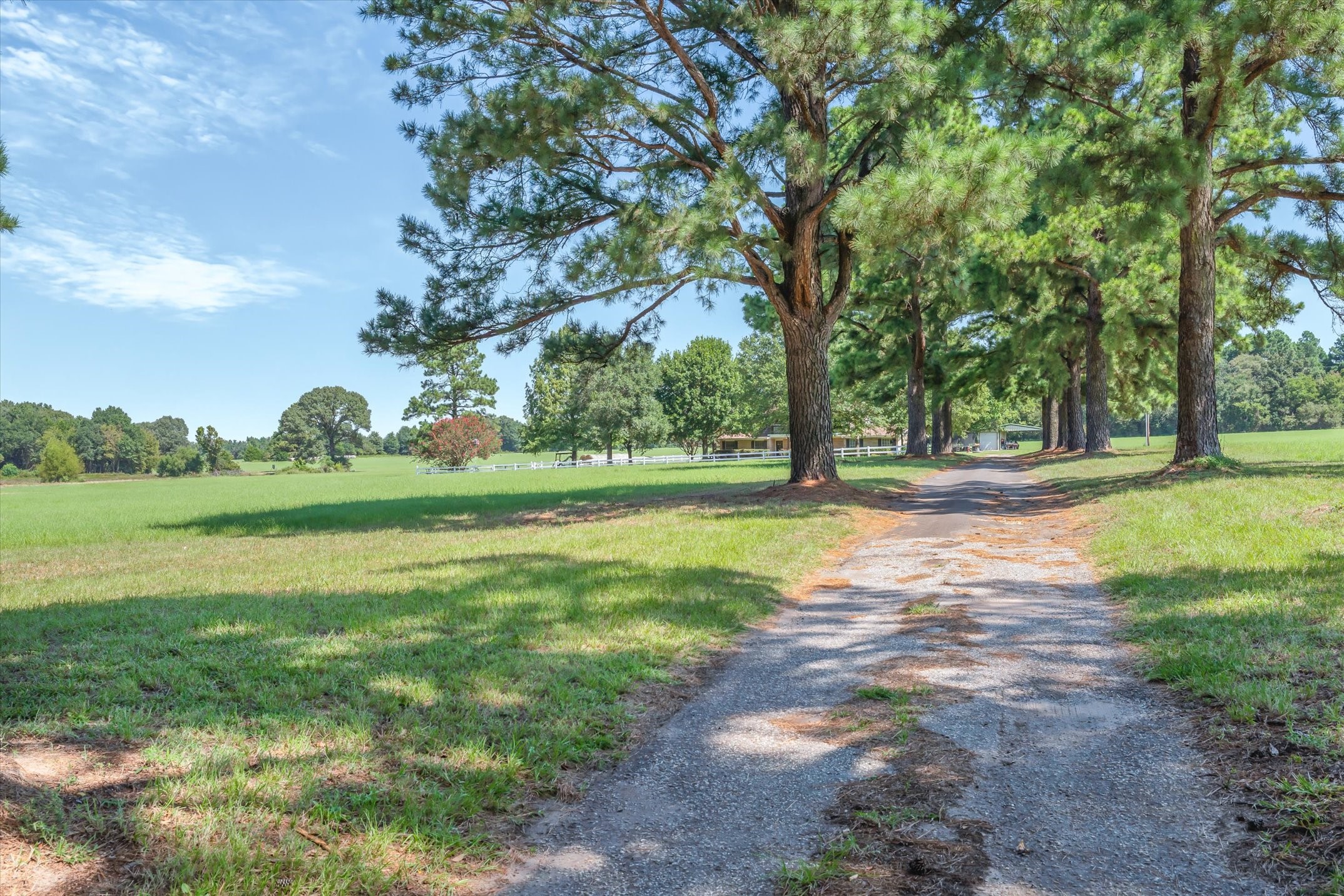 893 Vz County Road 4203 Canton TX 75103