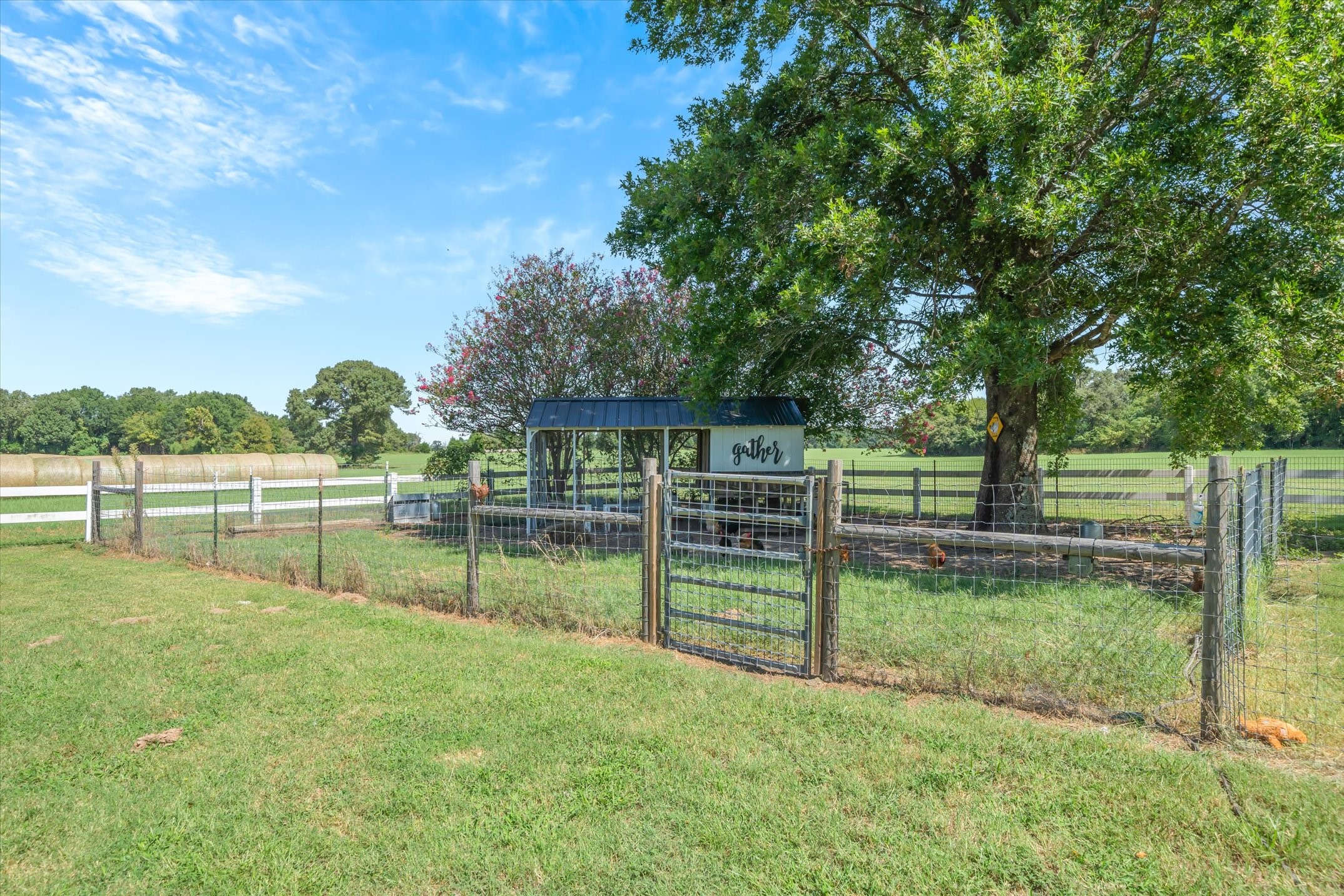 893 Vz County Road 4203 Canton TX 75103