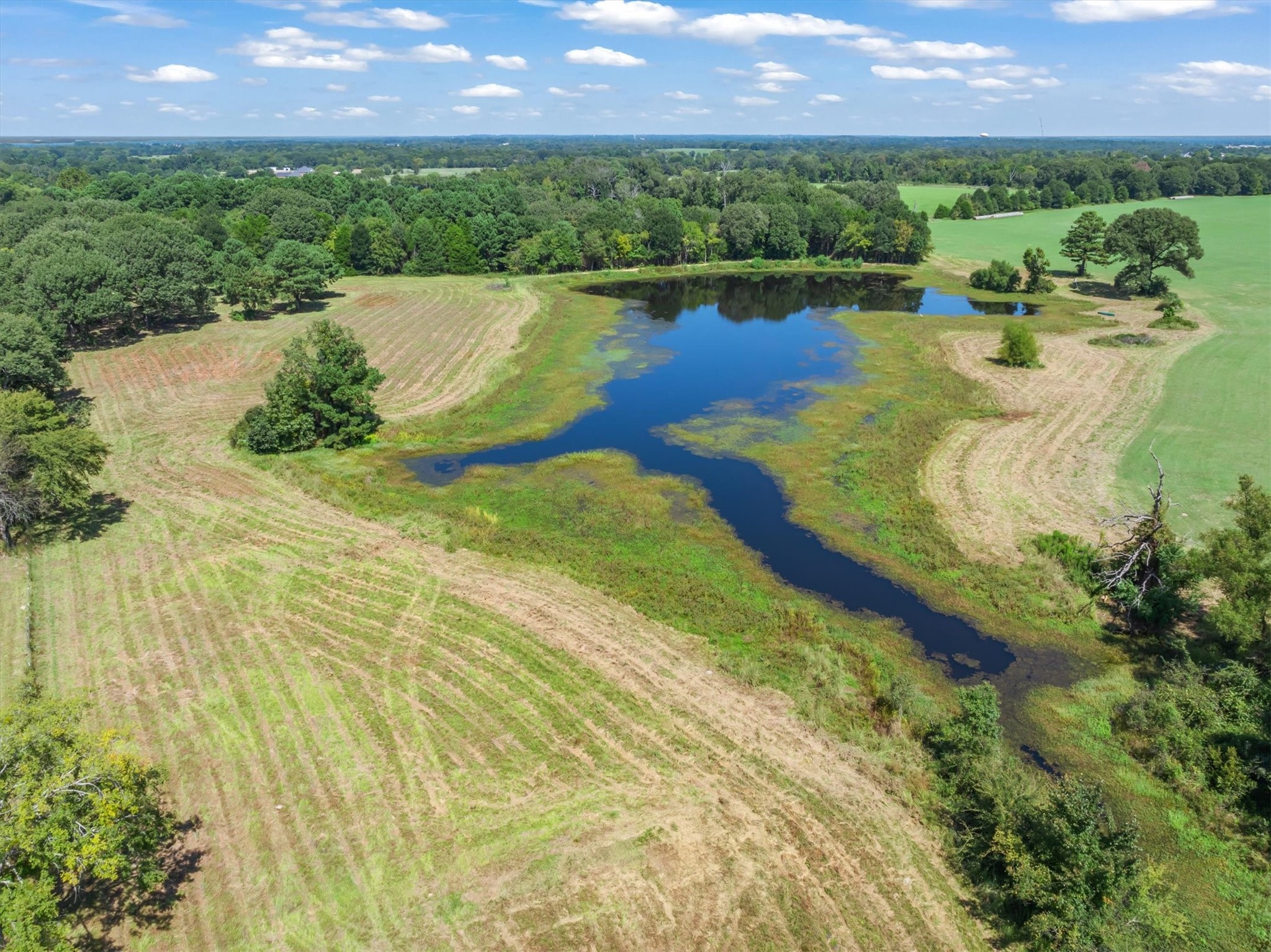 893 Vz County Road 4203 Canton TX 75103