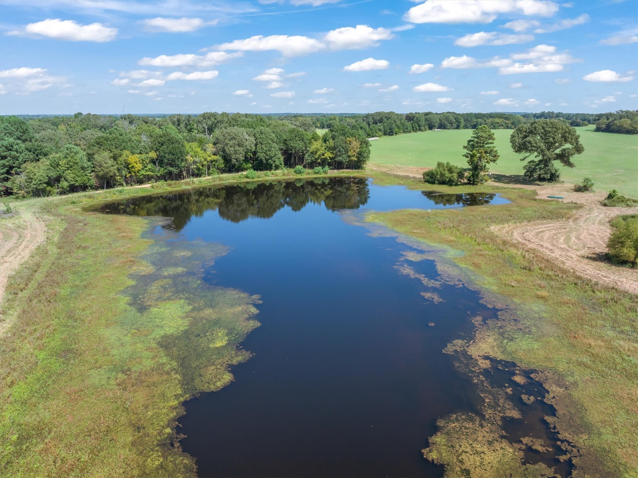 893 Vz County Road 4203 Canton TX 75103