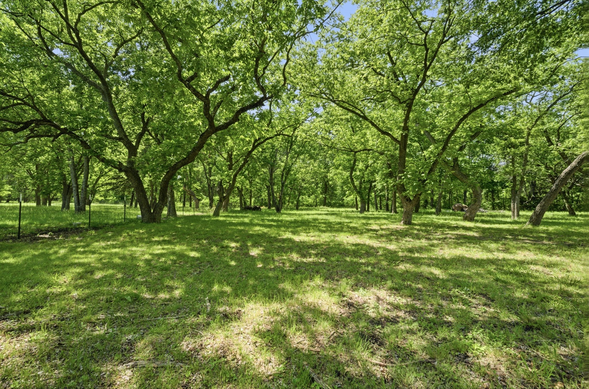 1499 Harrell Road Howe TX 75459