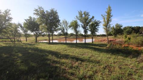 502 County Road 194 Ovalo TX 79541