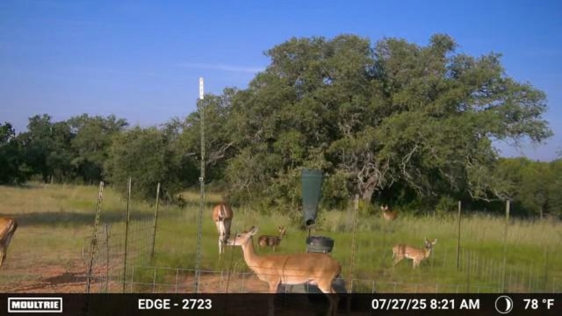 502 County Road 194 Ovalo TX 79541