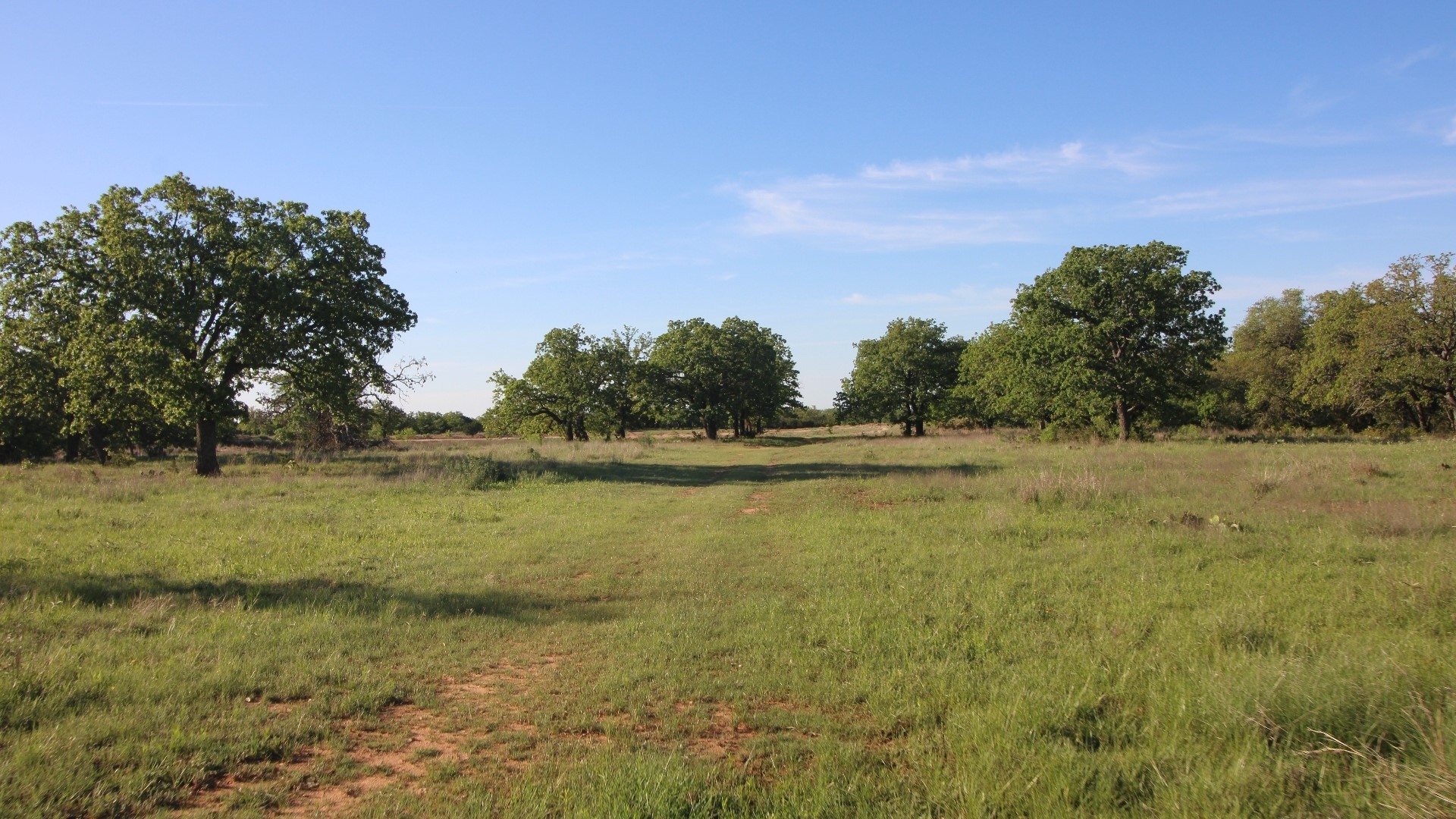 502 County Road 194 Ovalo TX 79541