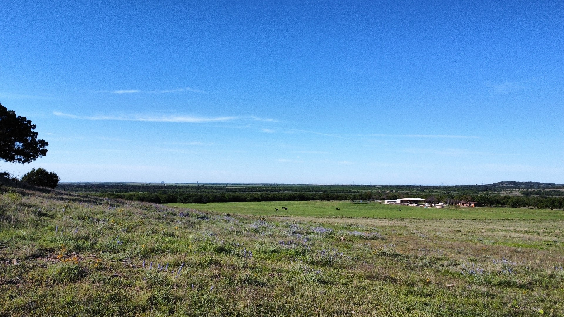 502 County Road 194 Ovalo TX 79541