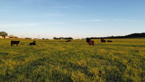 502 County Road 194 Ovalo TX 79541