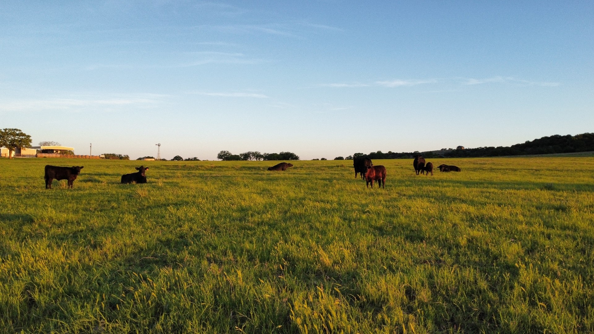 502 County Road 194 Ovalo TX 79541