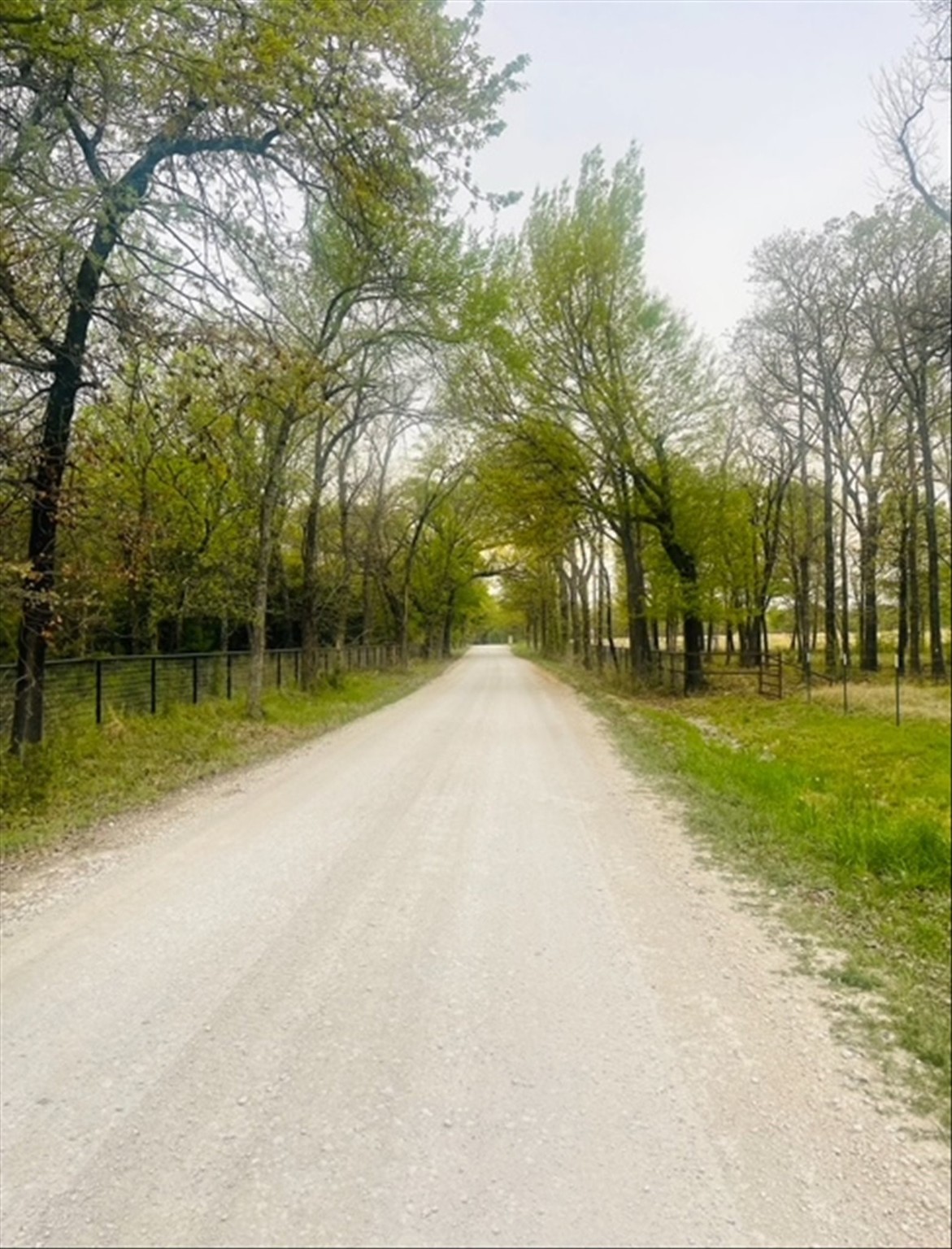 812 Mckenzie Road Tioga TX 76271