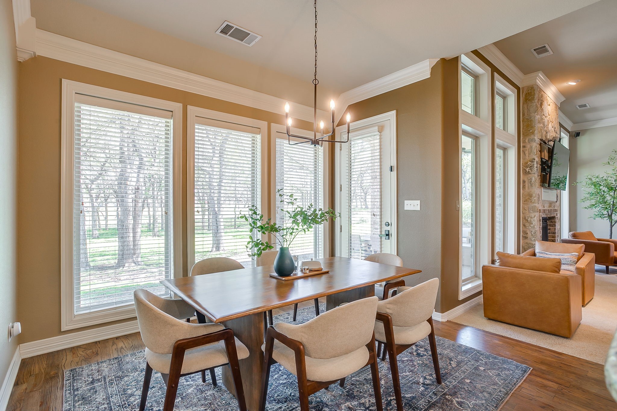 542 S Sugartree Drive Lipan TX 76462