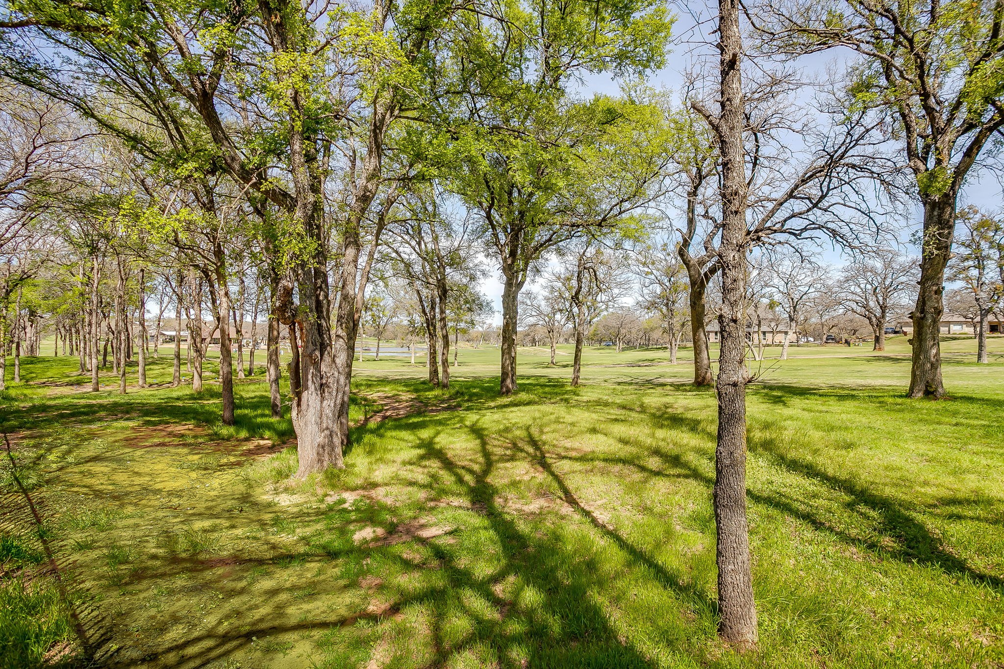 542 S Sugartree Drive Lipan TX 76462